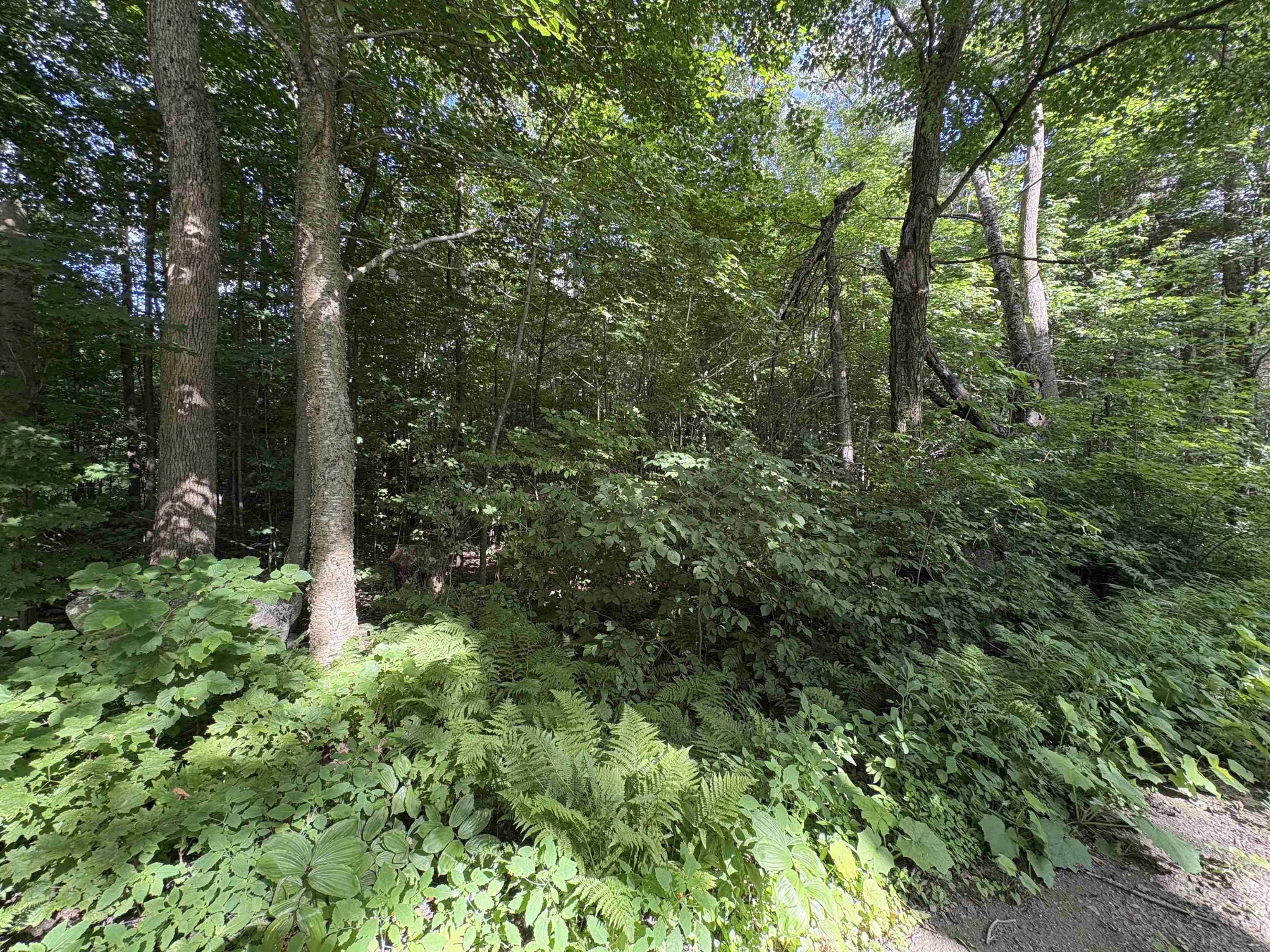 Homes for sale in Danville, VT | Partridge Ln, Danville, VT 05828 | MLS# 5038200