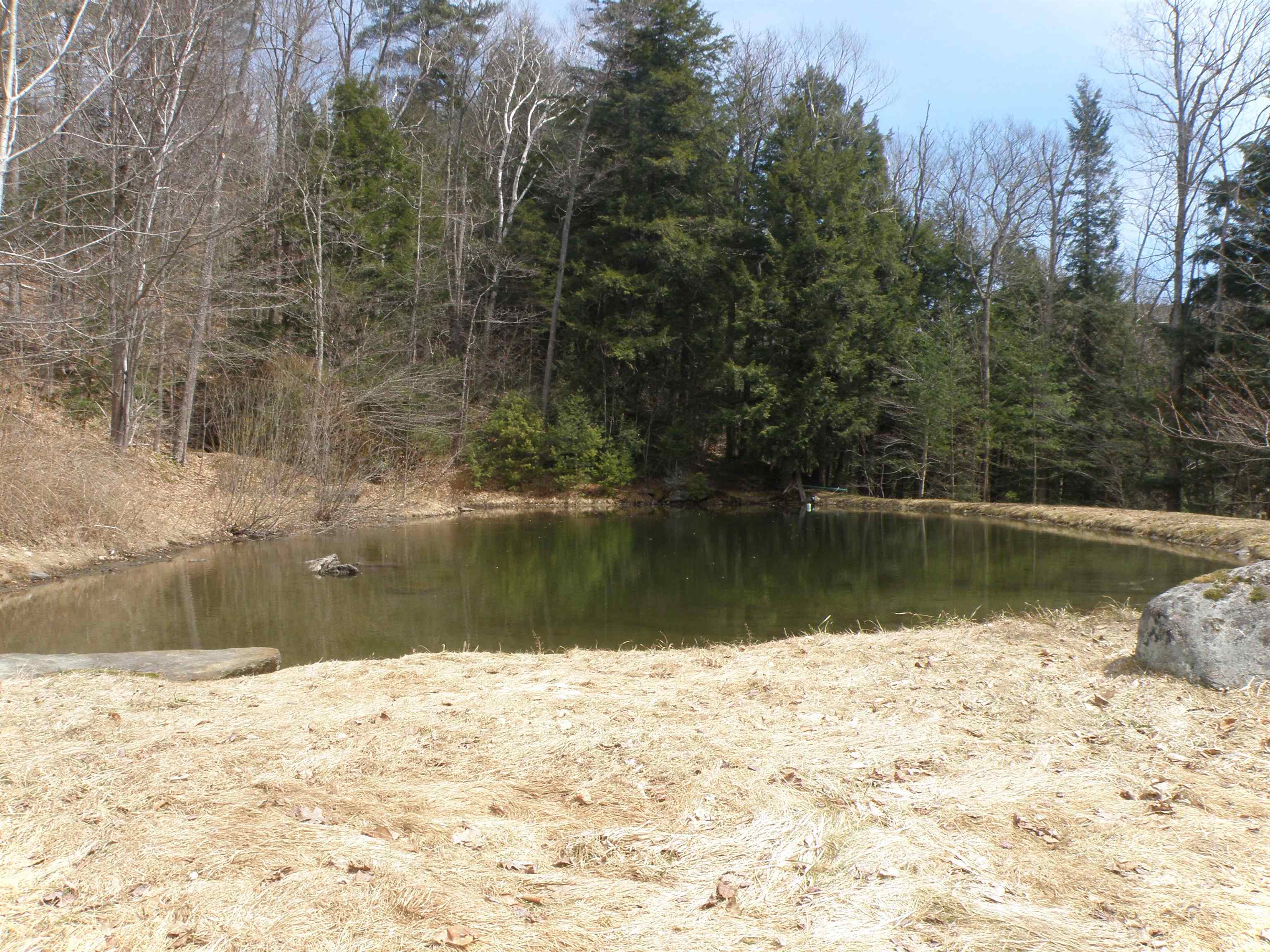 Homes for sale in Wardsboro, VT | 3730 Route 100, Wardsboro, VT 05355 | MLS# 5038215