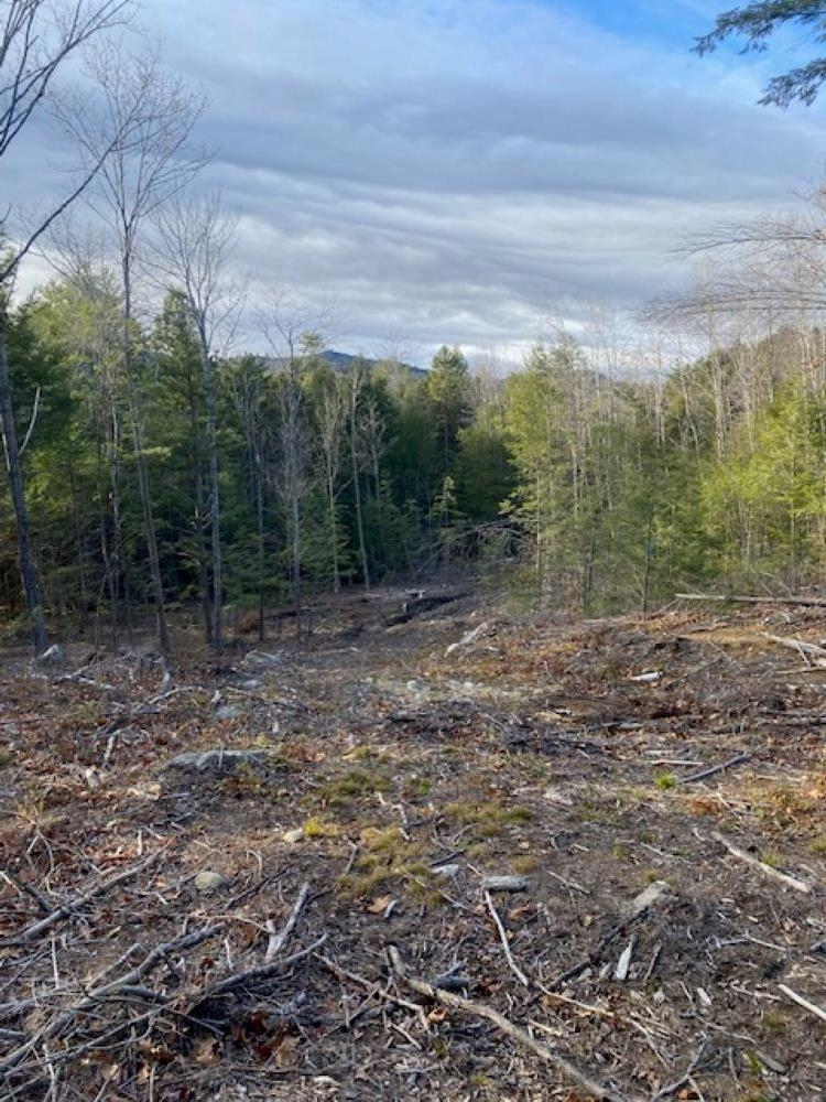 Homes for sale in Rumney, NH | 15-12-10-13 Jacob Hall Farm Rd, Rumney, NH 03266 | MLS# 5038228