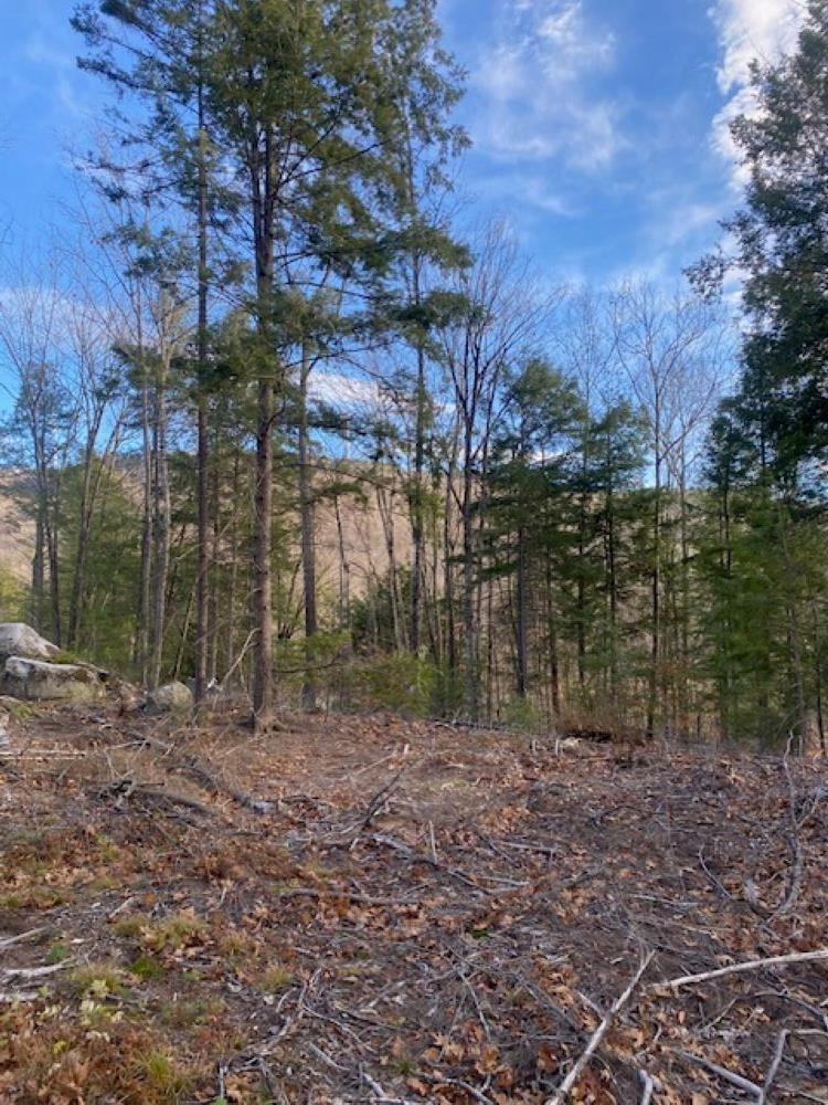 Homes for sale in Rumney, NH | 15-12-10-13 Jacob Hall Farm Rd, Rumney, NH 03266 | MLS# 5038228