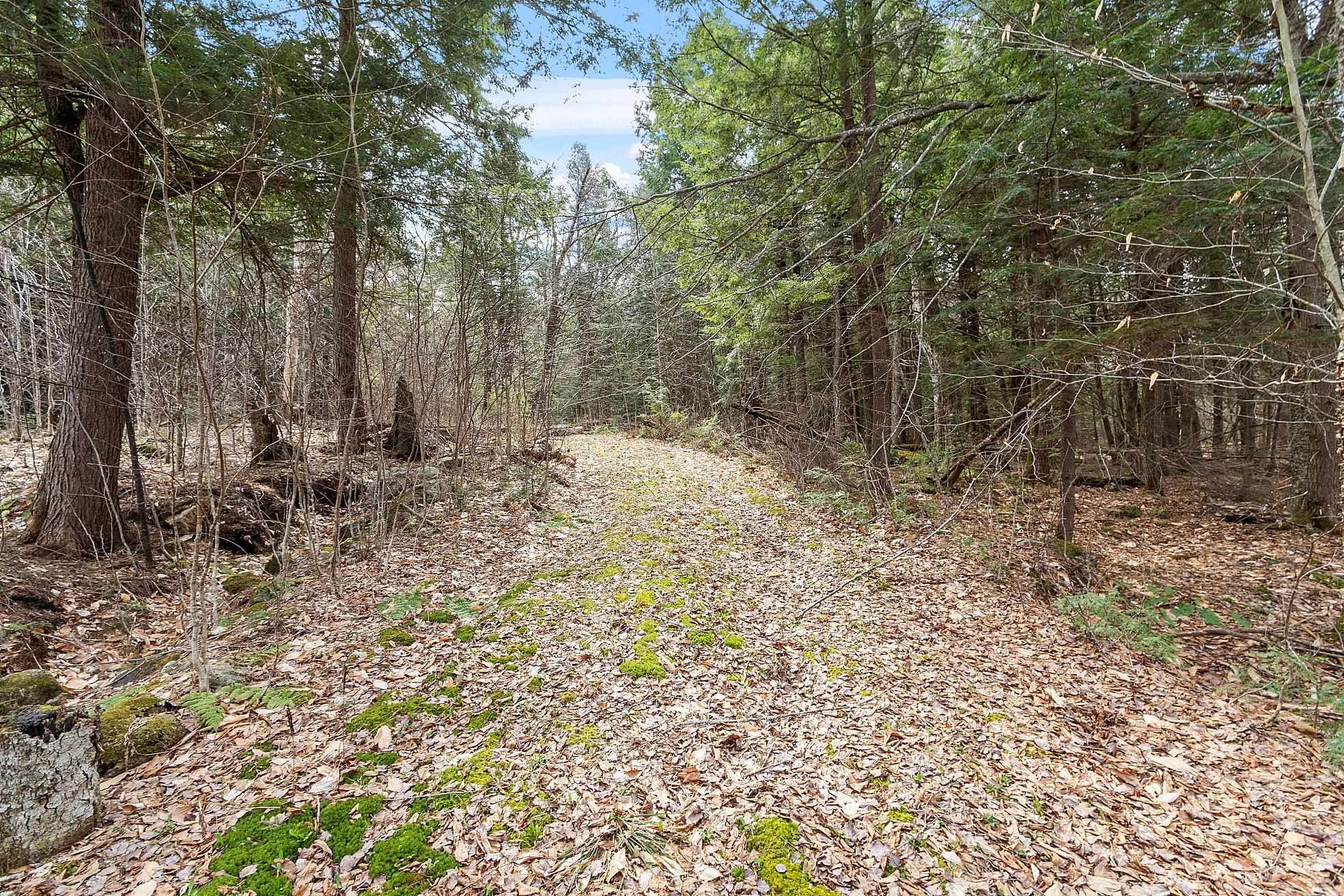 MLS #5038550 image #9