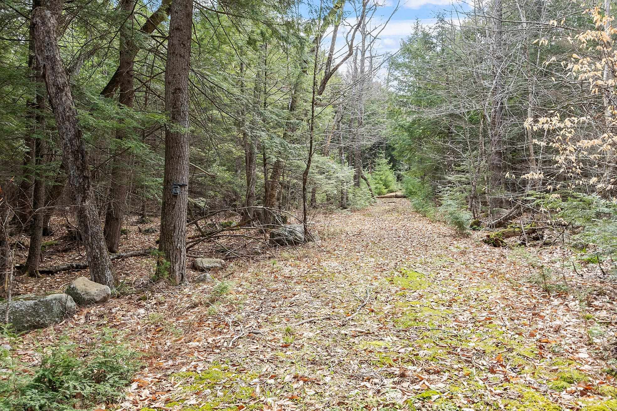 MLS #5038550 image #10