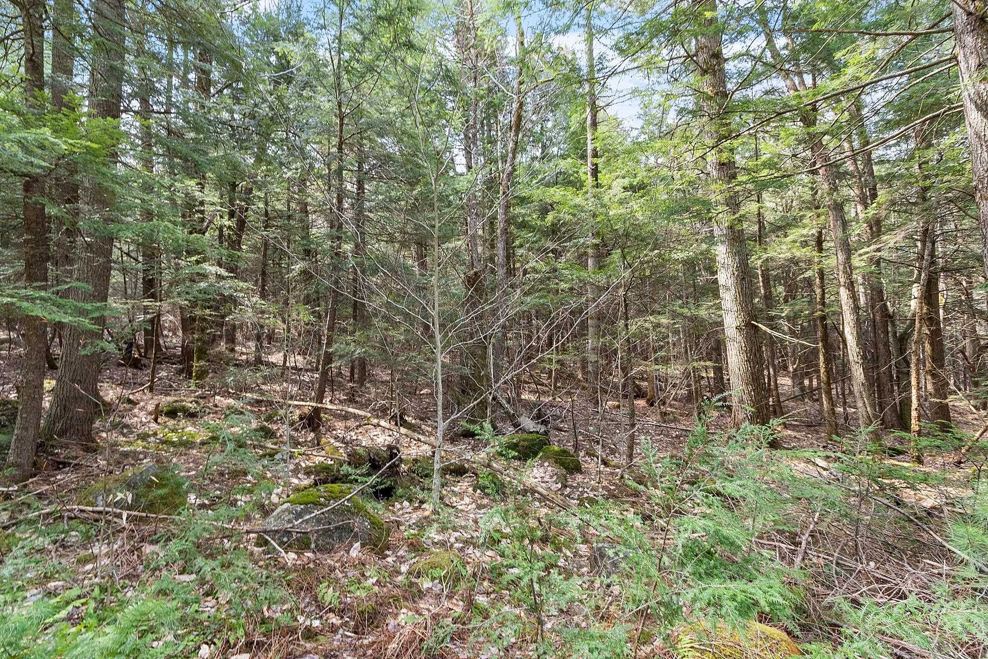 MLS #5038550 image #11