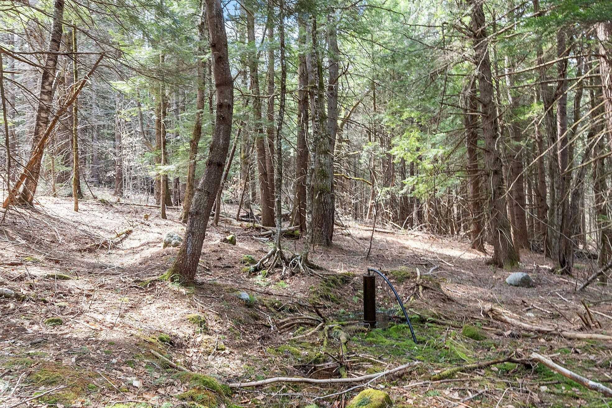 MLS #5038550 image #13