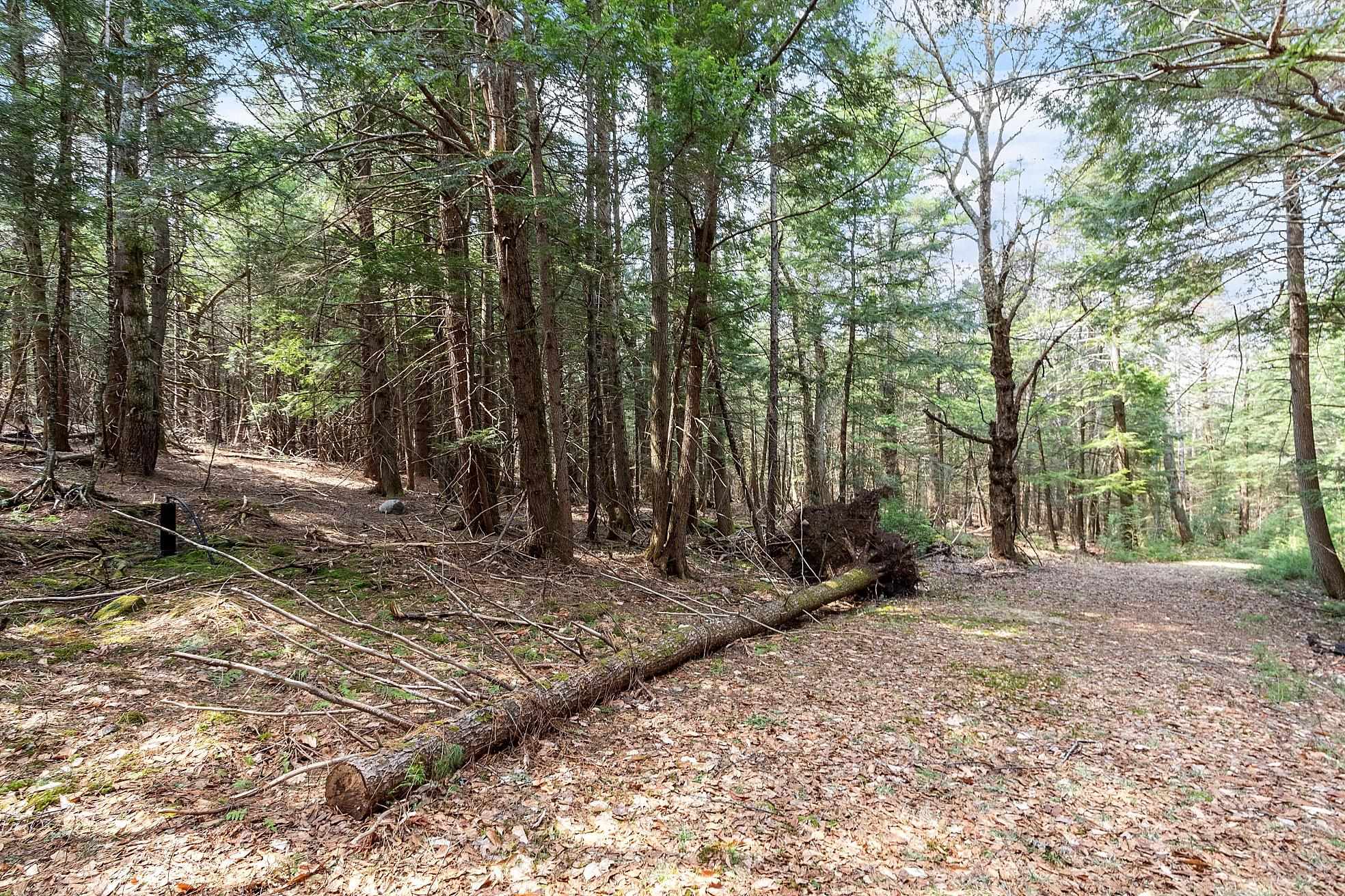 MLS #5038550 image #14