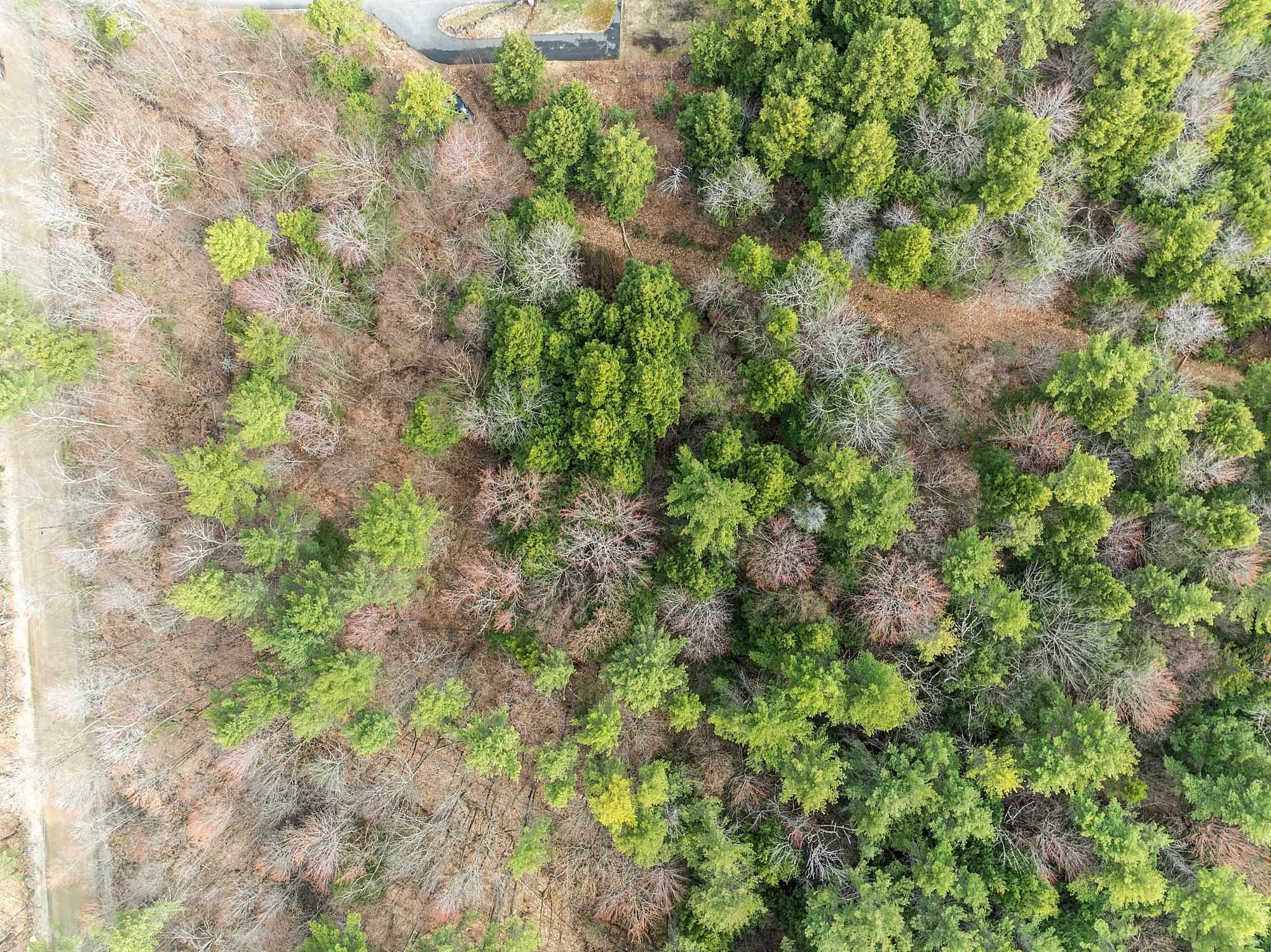 MLS #5038550 image #22