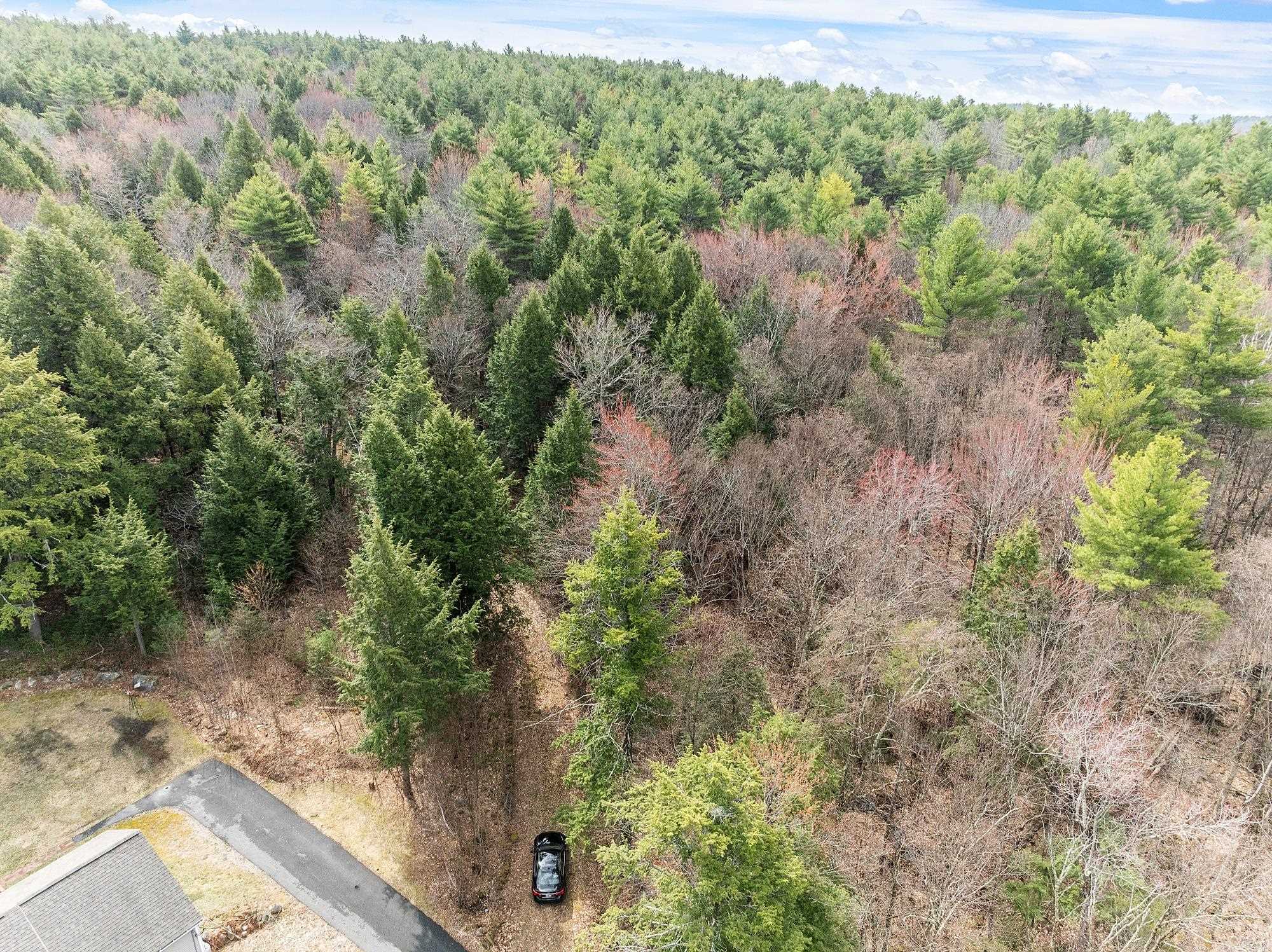 MLS #5038550 image #7