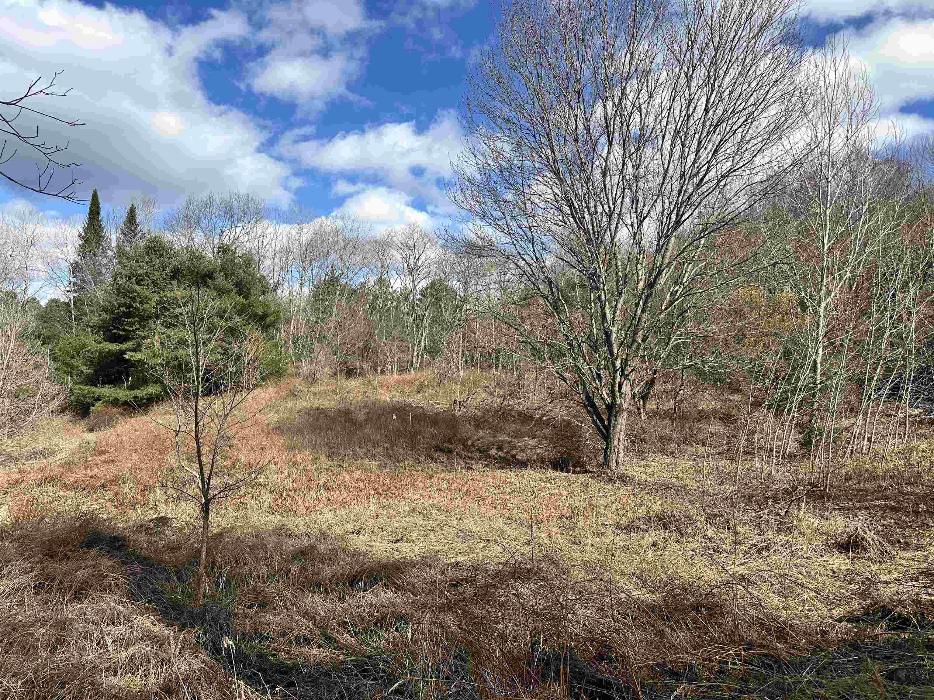 Lisbon NH Land for sale $$32,000 | 0.5 Acres  | Price Per Acre $0  | Total Lots 2