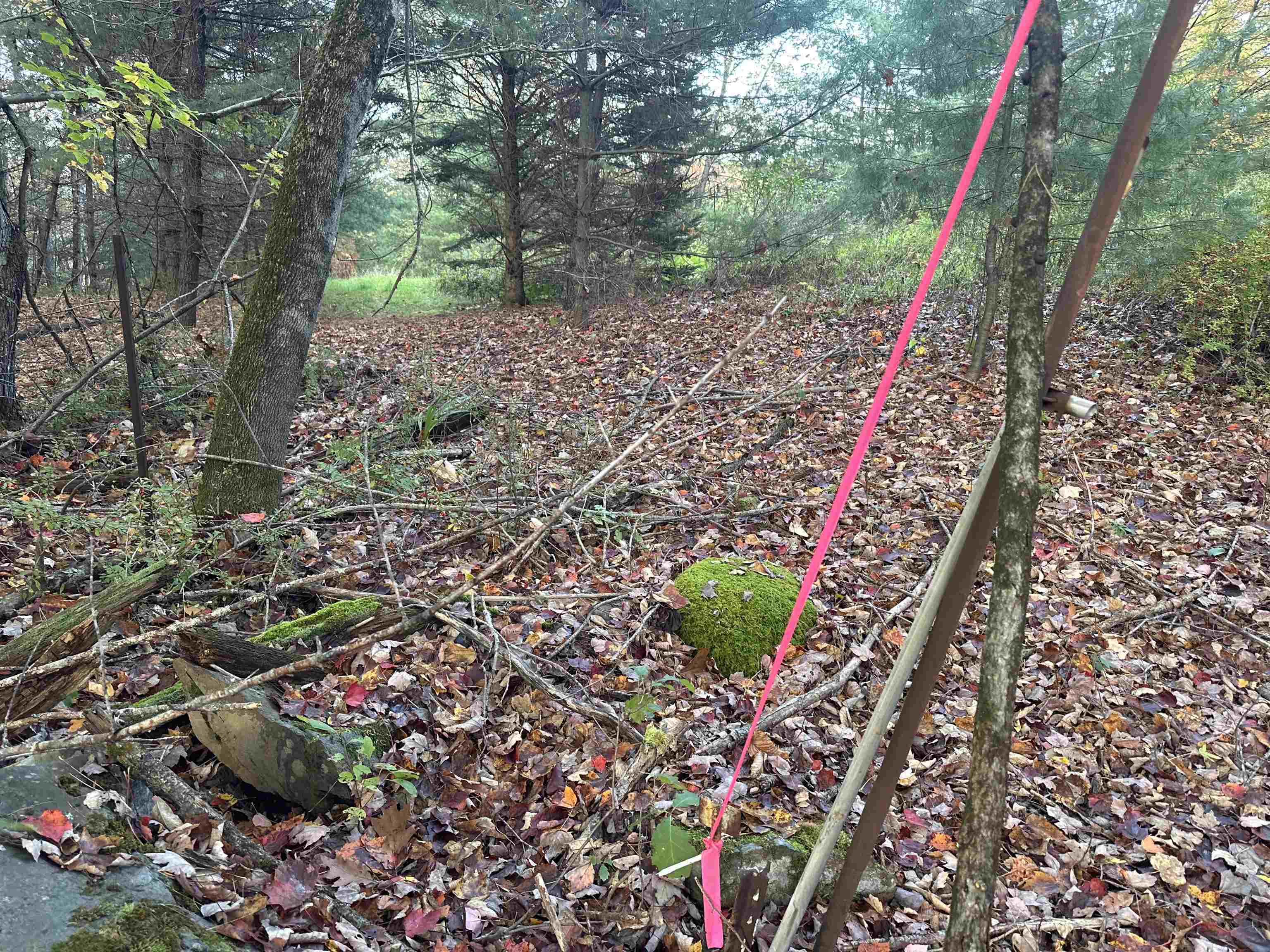 Homes for sale in Lisbon, NH | 00 Hodge Hill Rd, Lisbon, NH 03585 | MLS# 5039077