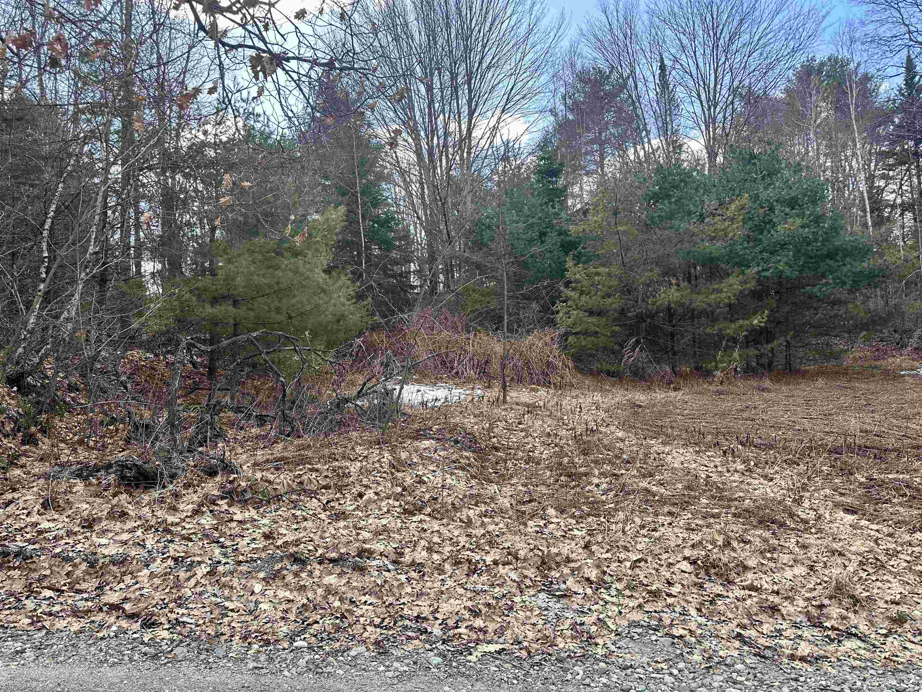 Homes for sale in Lisbon, NH | 00 Hodge Hill Rd, Lisbon, NH 03585 | MLS# 5039077