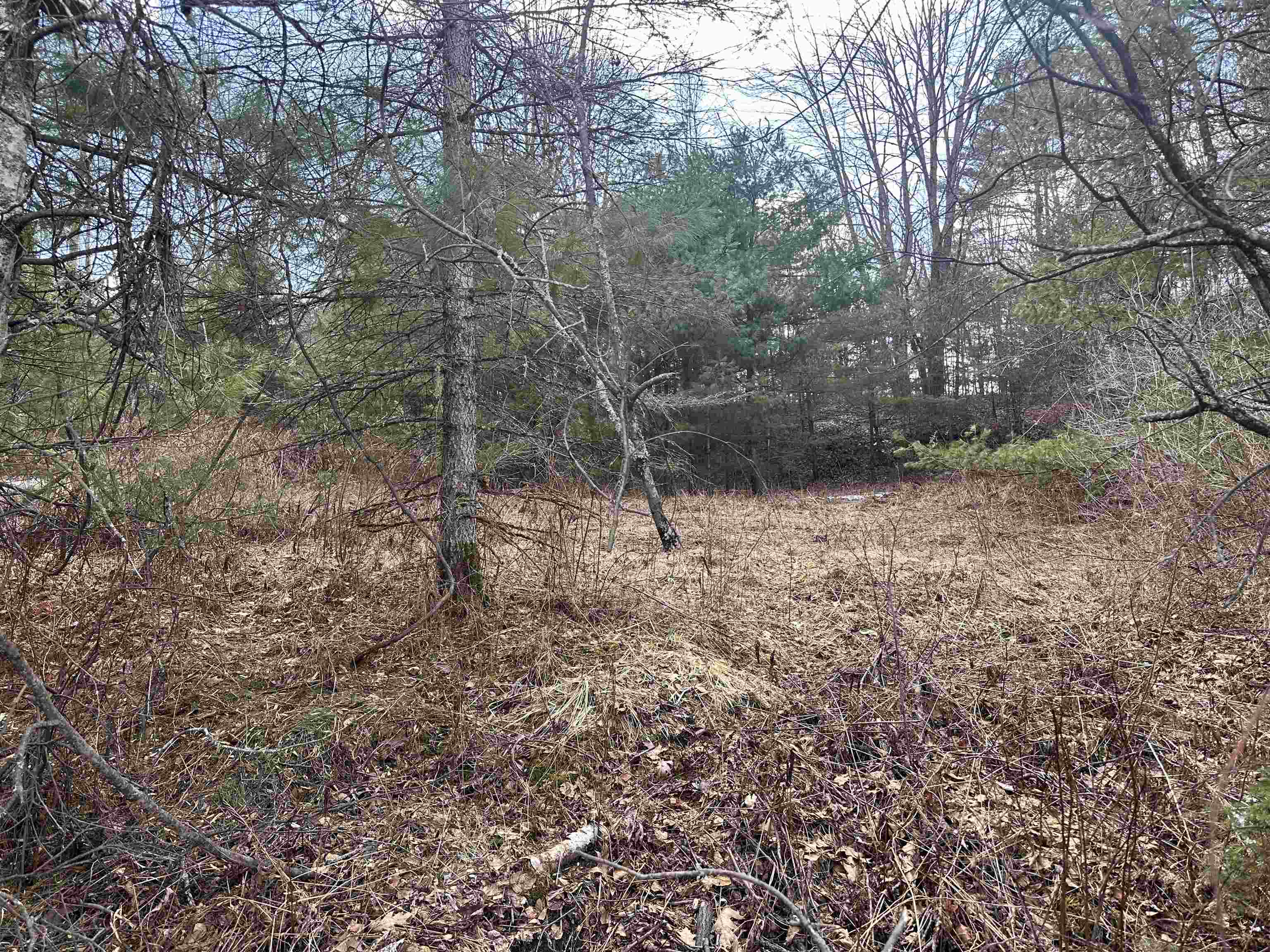 Homes for sale in Lisbon, NH | 00 Hodge Hill Rd, Lisbon, NH 03585 | MLS# 5039077