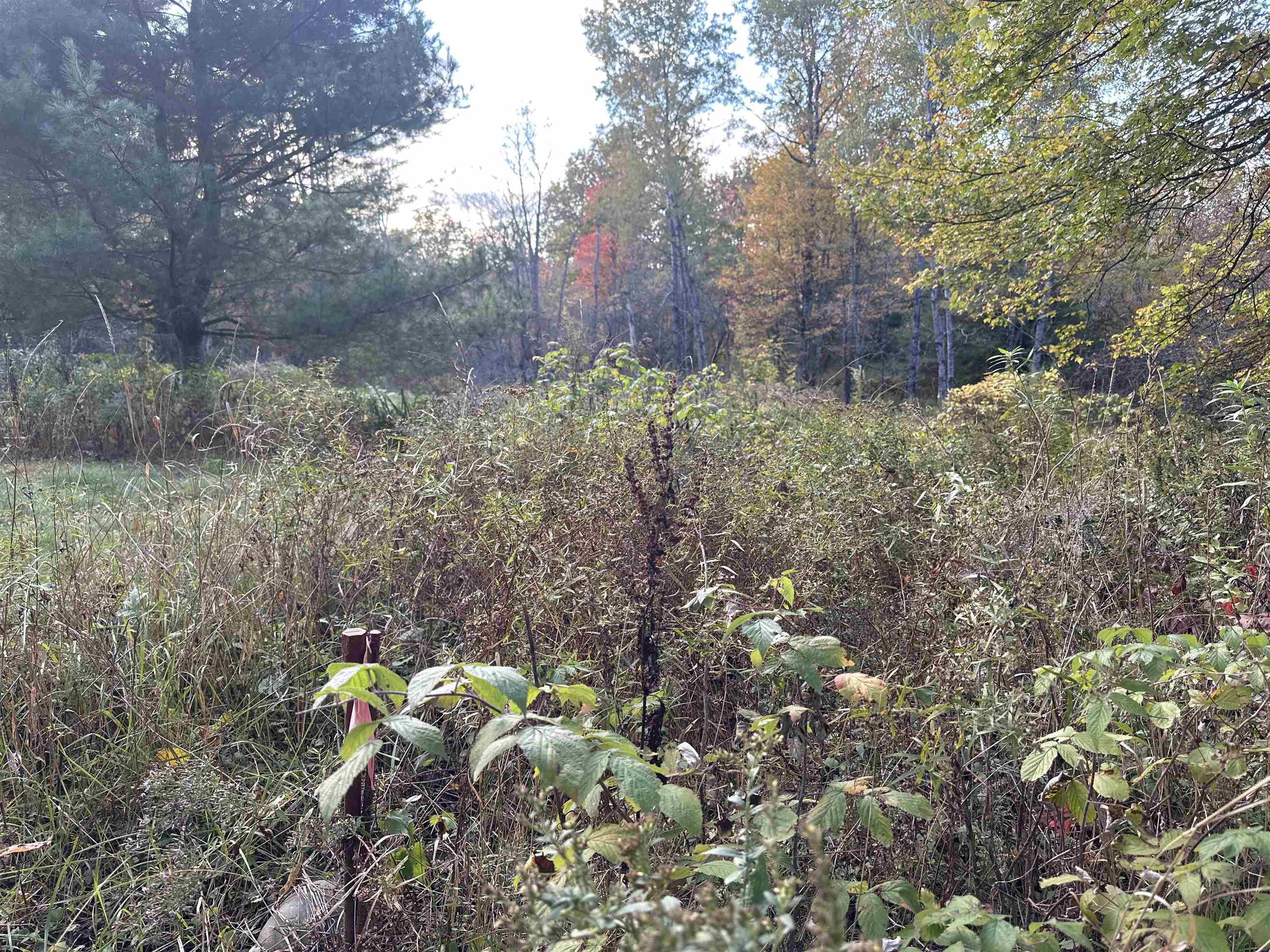 Homes for sale in Lisbon, NH | 70 Hodge Hill Rd, Lisbon, NH 03585 | MLS# 5039079