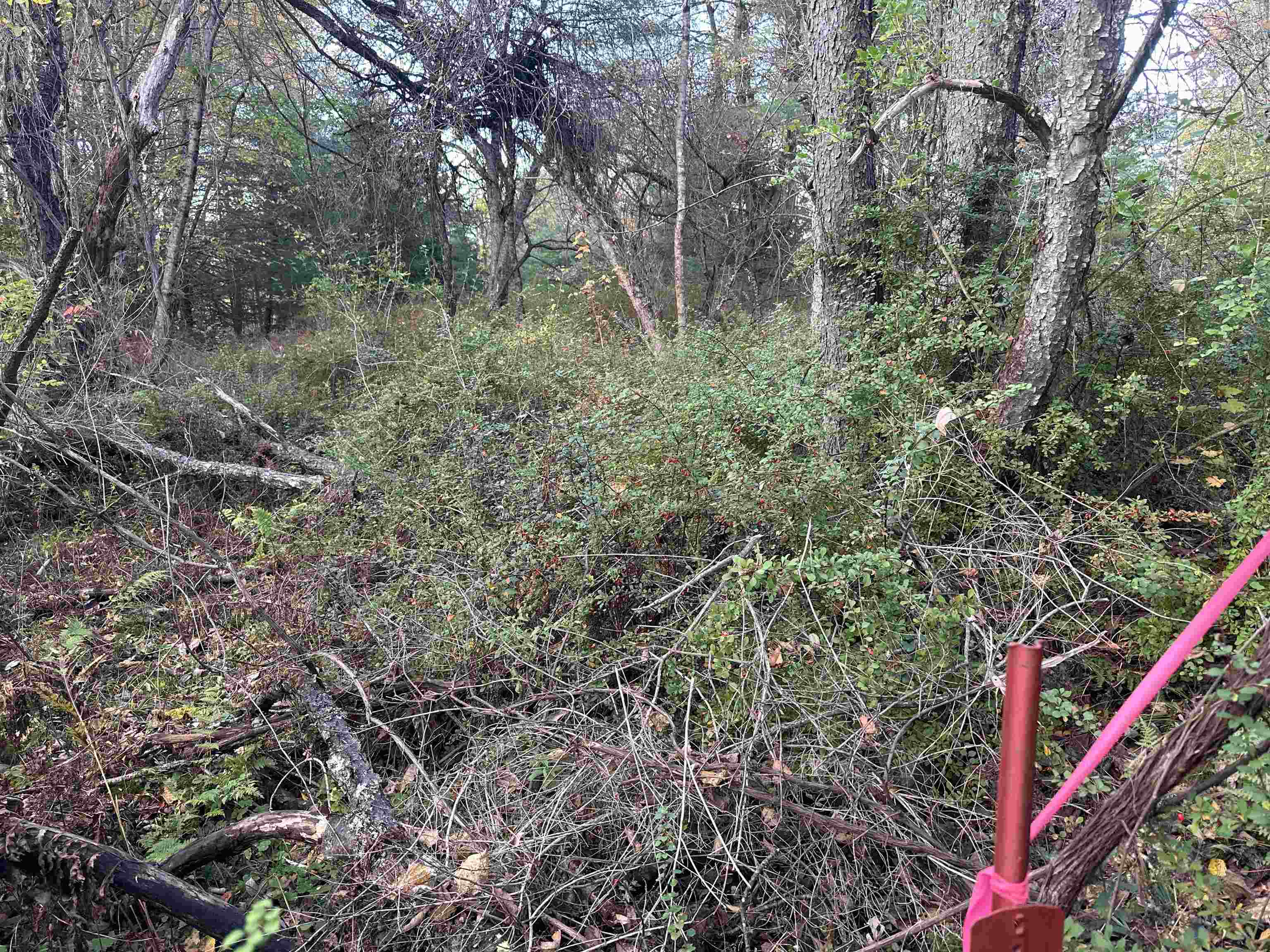 70 Hodge Hill Rd, Lisbon, NH 03585