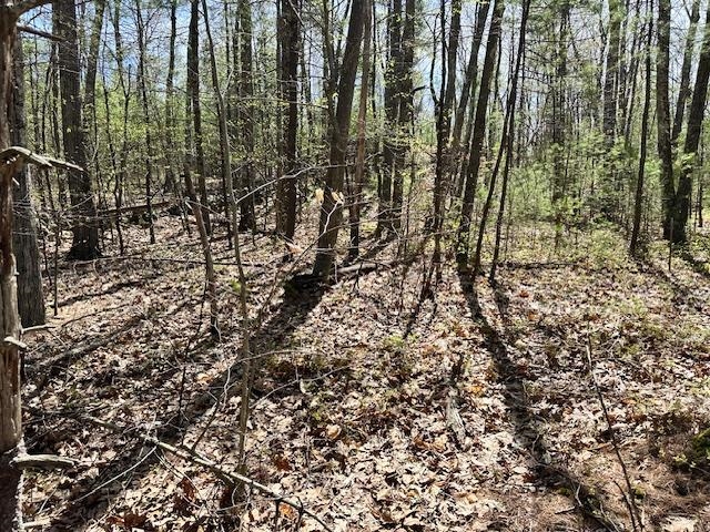 Homes for sale in Bow, NH | 13 South Bow Dunbarton Rd, Bow, NH 03304 | MLS# 5039110