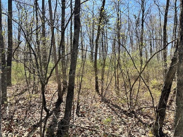 Homes for sale in Bow, NH | 15 South Bow Dunbarton Rd, Bow, NH 03304 | MLS# 5039113