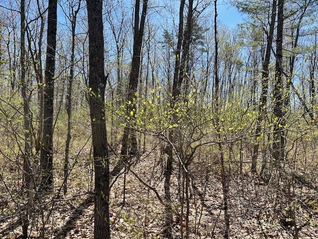 Homes for sale in Bow, NH | 15 South Bow Dunbarton Rd, Bow, NH 03304 | MLS# 5039113