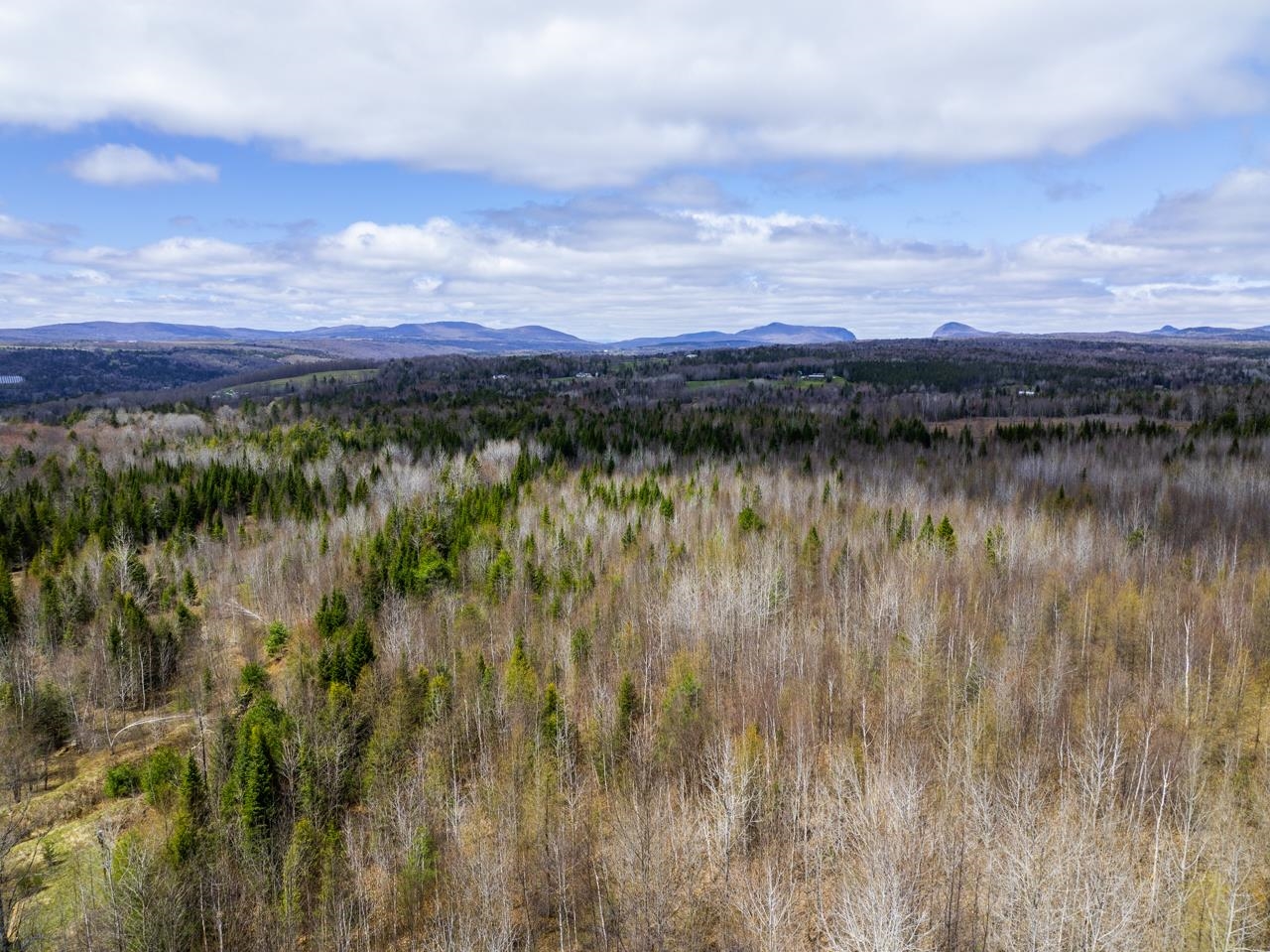 Homes for sale in Burke, VT | 0 Burke Green Rd, Burke, VT 05832 | MLS# 5039178