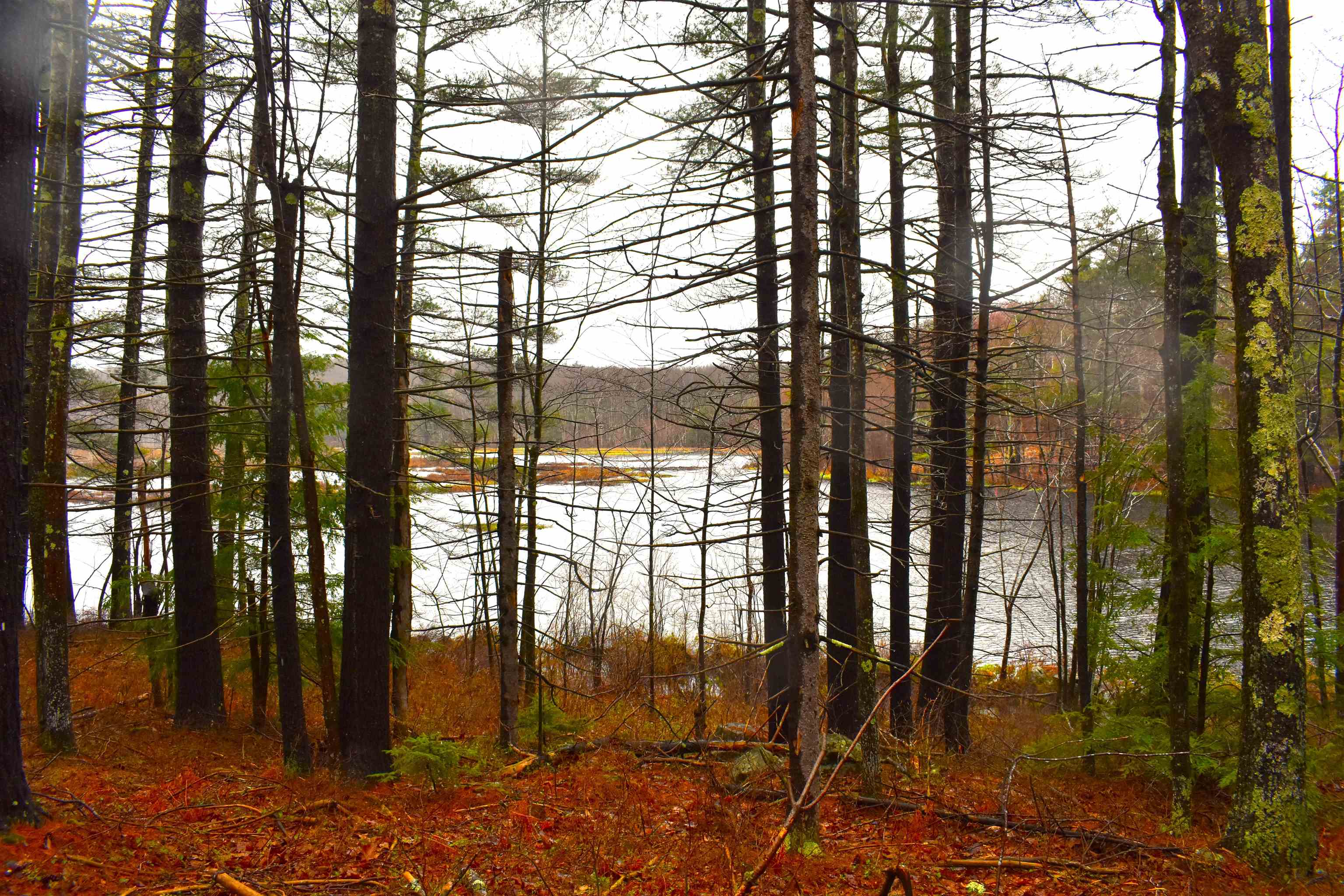 Homes for sale in Dublin, NH | 00 Windmill Hill Rd, Dublin, NH 03444 | MLS# 5039180