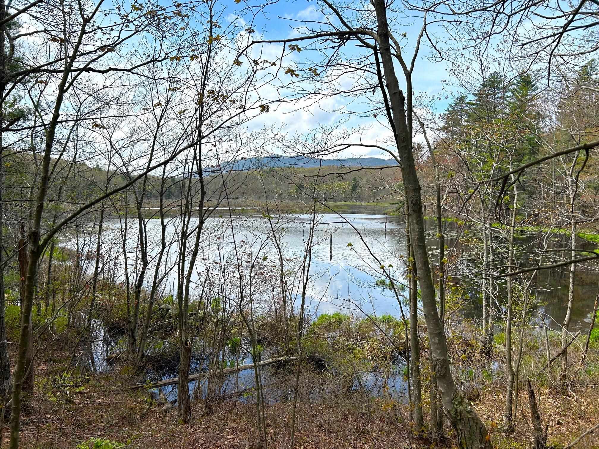 Homes for sale in Dublin, NH | 00 Windmill Hill Rd, Dublin, NH 03444 | MLS# 5039180