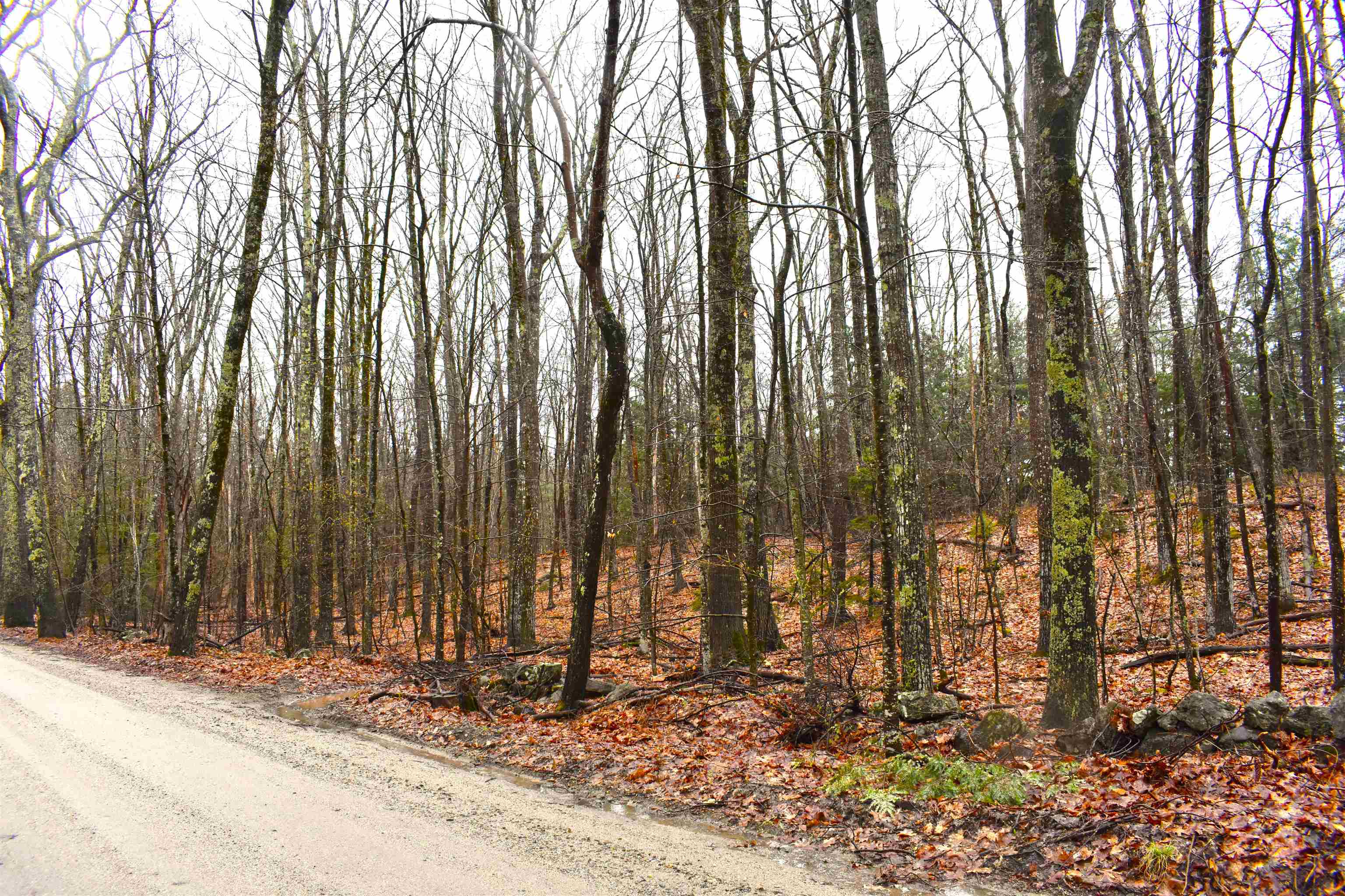 Homes for sale in Dublin, NH | 00 Windmill Hill Rd, Dublin, NH 03444 | MLS# 5039180