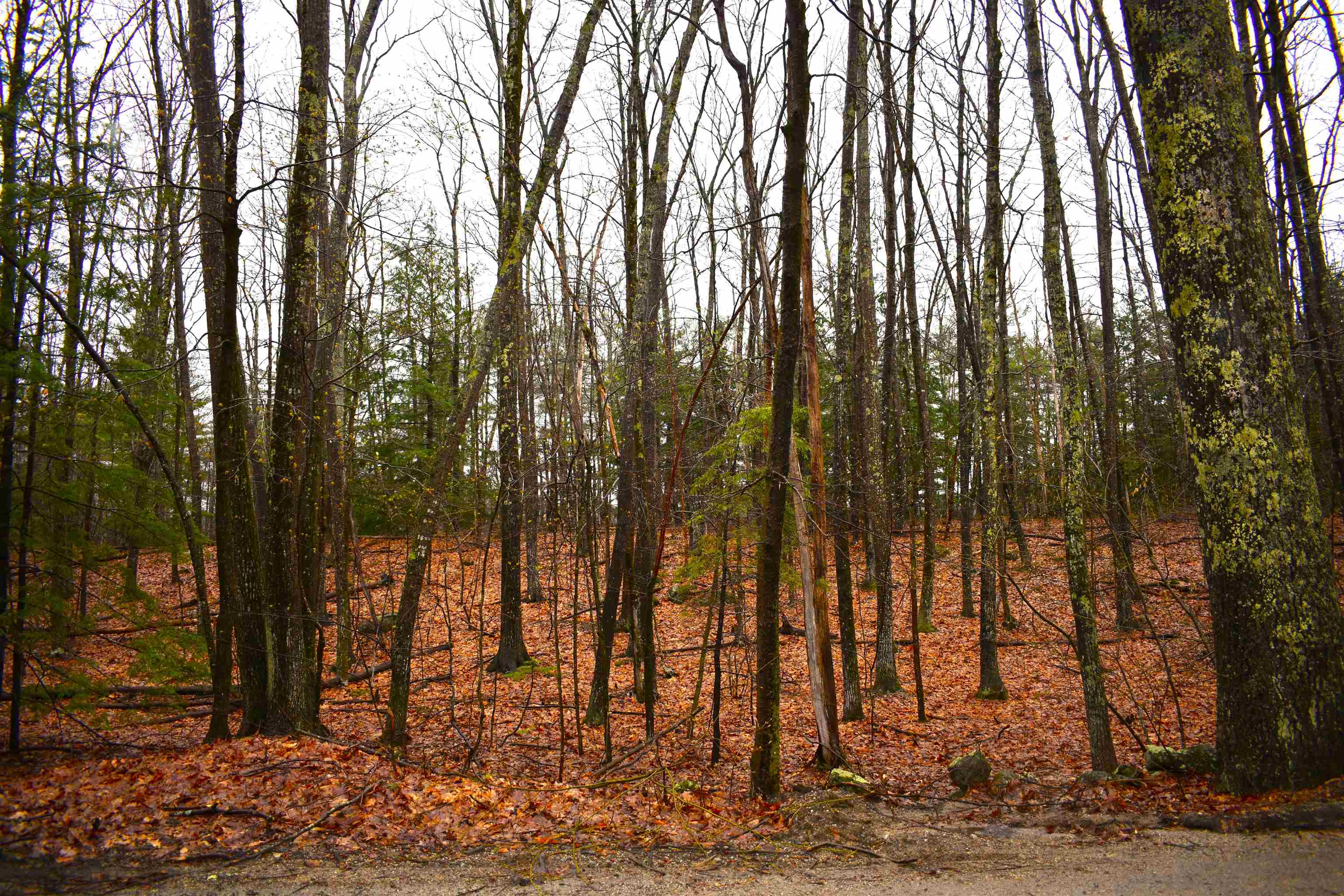 Homes for sale in Dublin, NH | 00 Windmill Hill Rd, Dublin, NH 03444 | MLS# 5039180