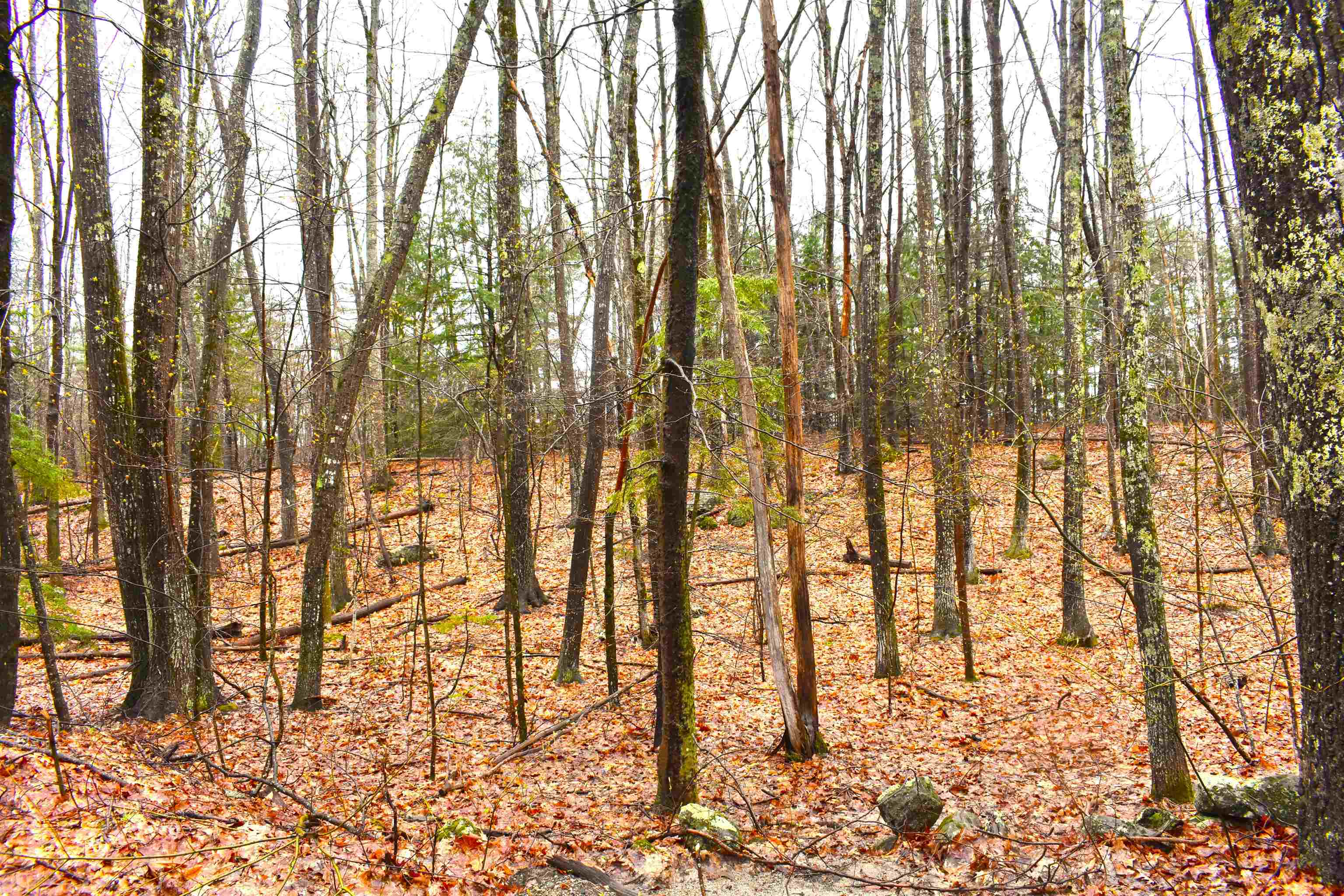 00 Windmill Hill Rd, Dublin, NH 03444