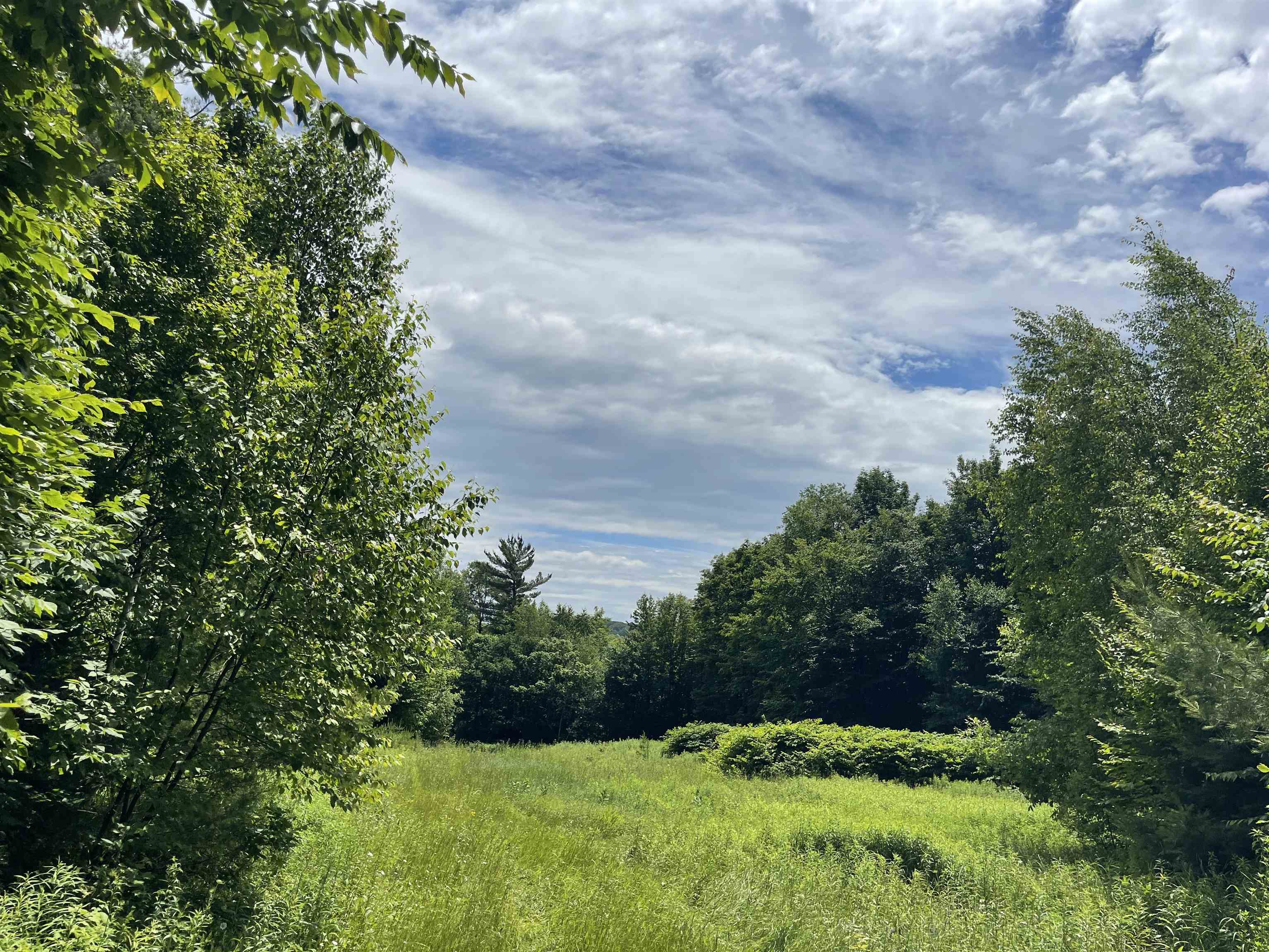 Homes for sale in Vershire, VT | 00 Goose Green Rd, Vershire, VT 05079 | MLS# 5039272