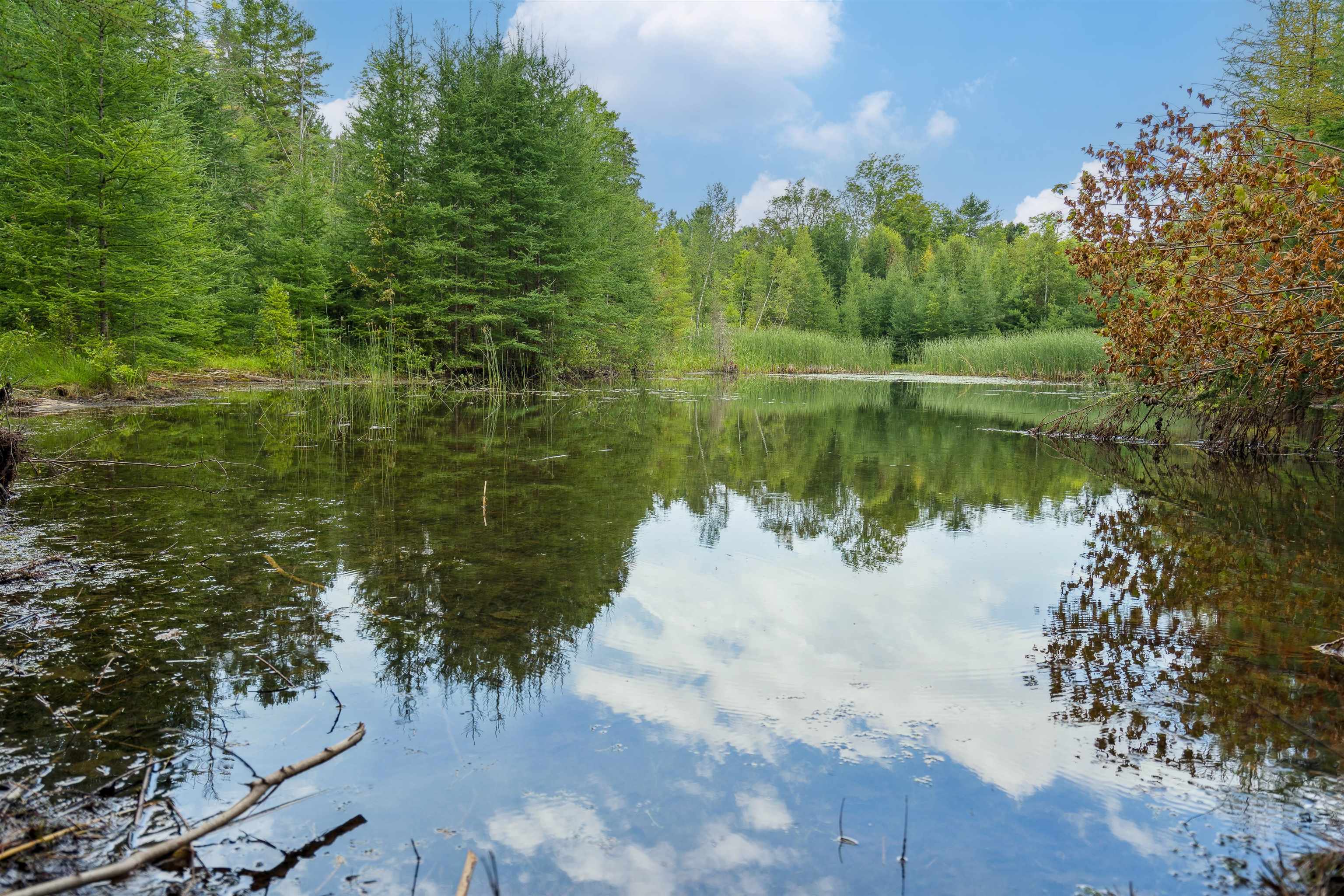 Homes for sale in Vershire, VT | 00 Goose Green Rd, Vershire, VT 05079 | MLS# 5039272