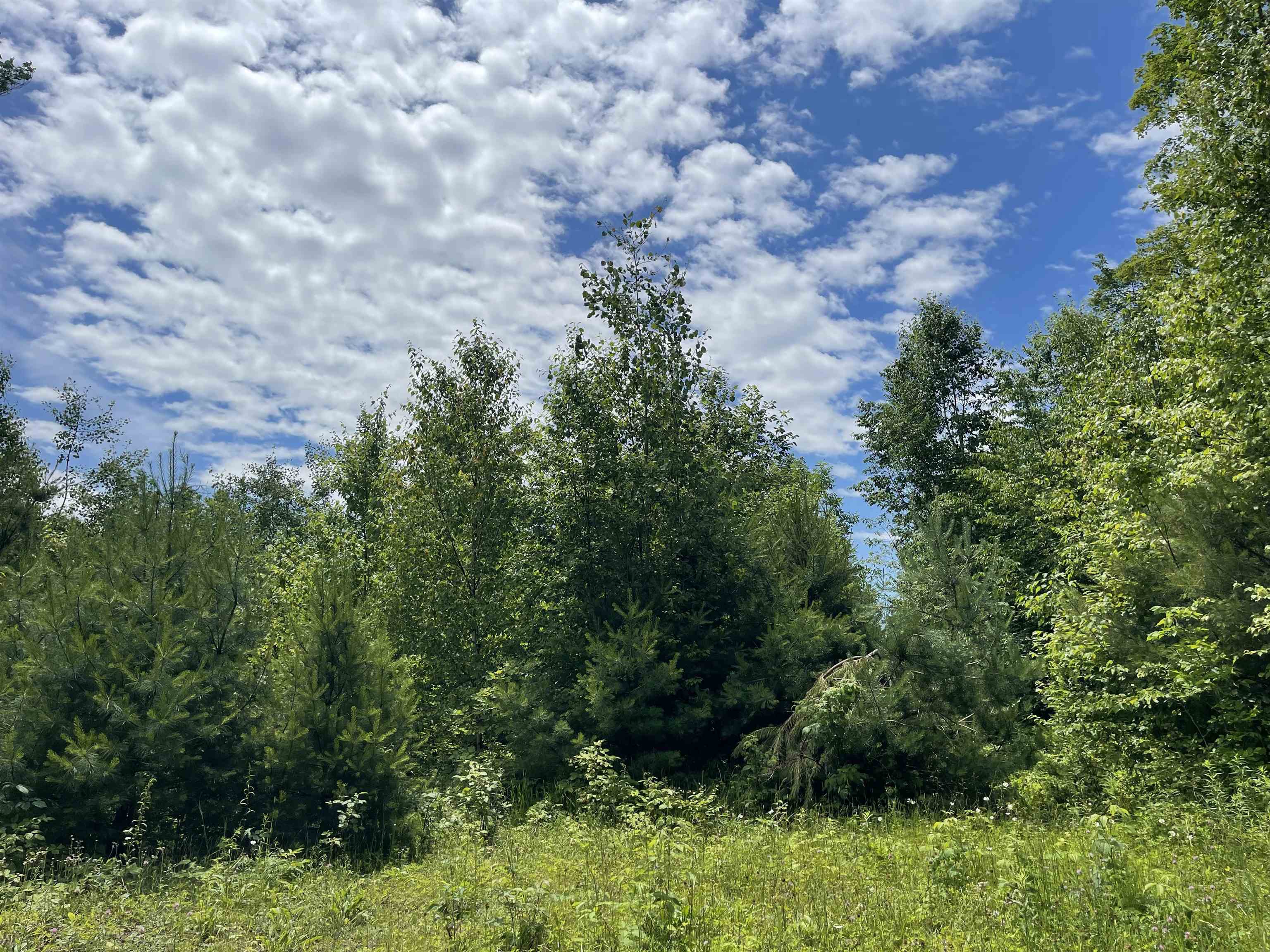 Homes for sale in Vershire, VT | 00 Goose Green Rd, Vershire, VT 05079 | MLS# 5039272