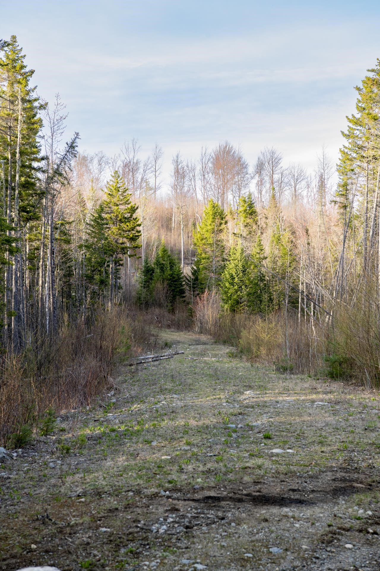 Homes for sale in Milan, NH | 460 Milan Hill Rd, Milan, NH 08588 | MLS# 5039457