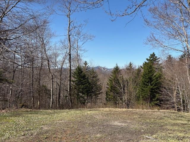 MLS #5039522 image #1