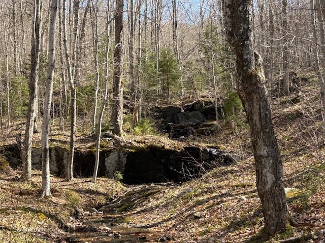 MLS #5039522 image #11