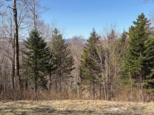 MLS #5039522 image #12