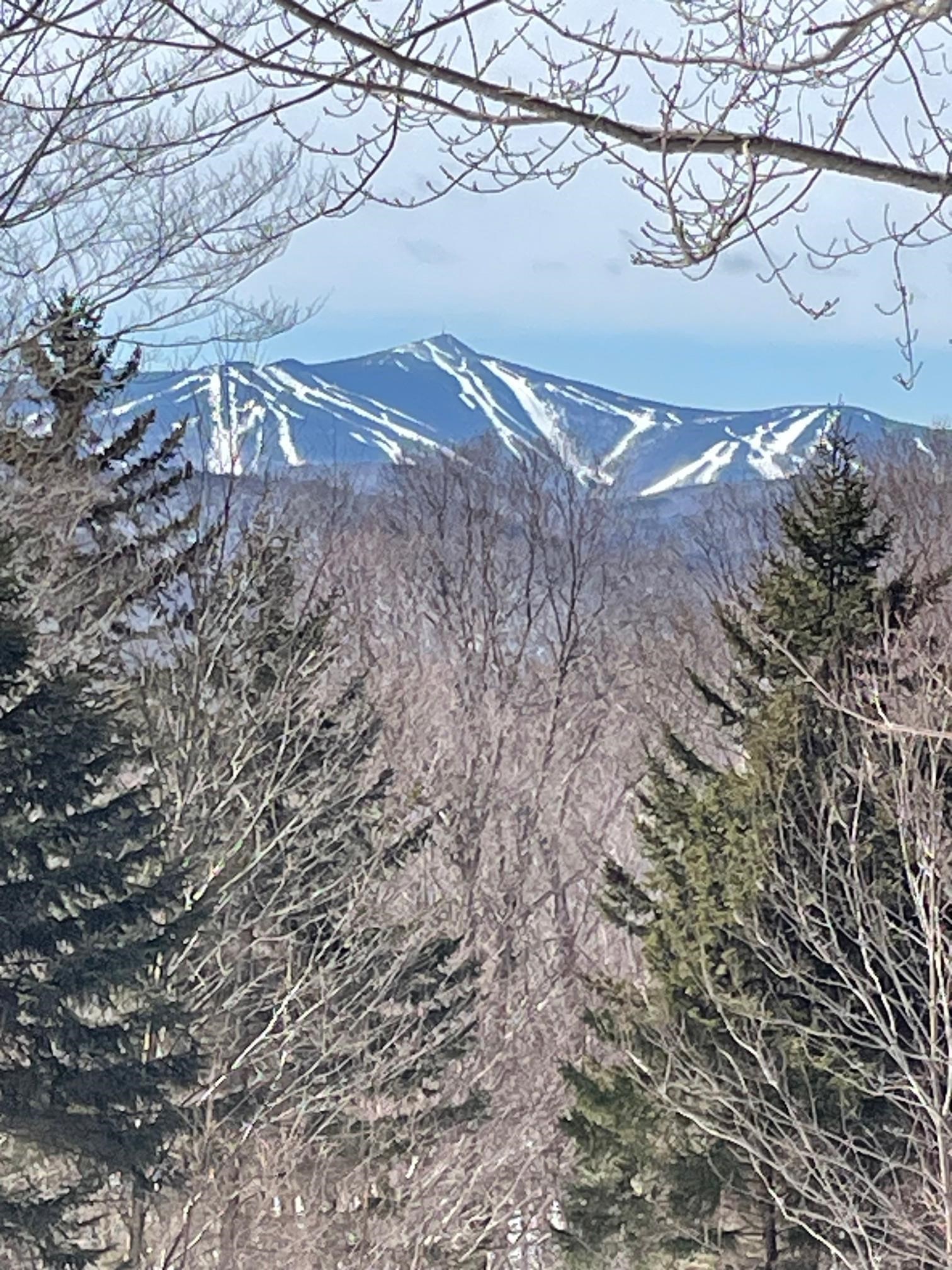 MLS #5039522 image #14