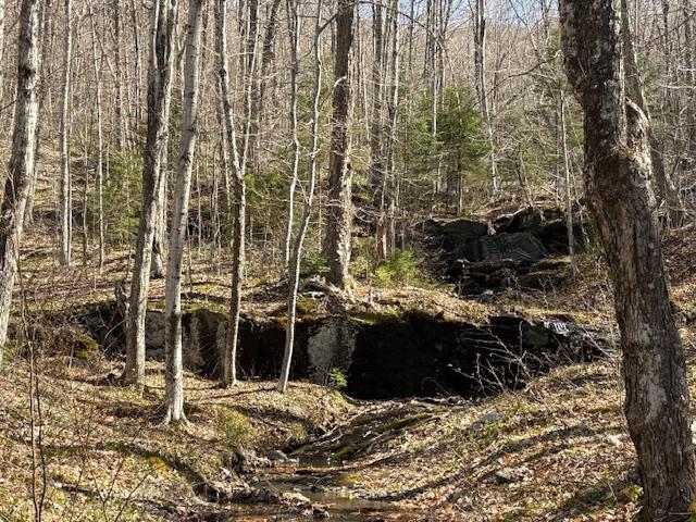 MLS #5039522 image #3