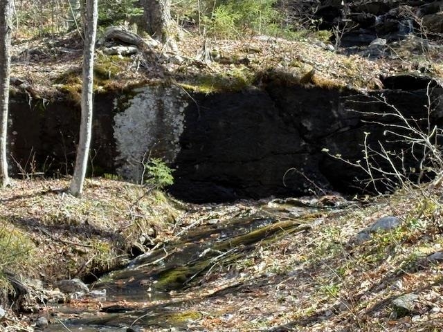 MLS #5039522 image #4