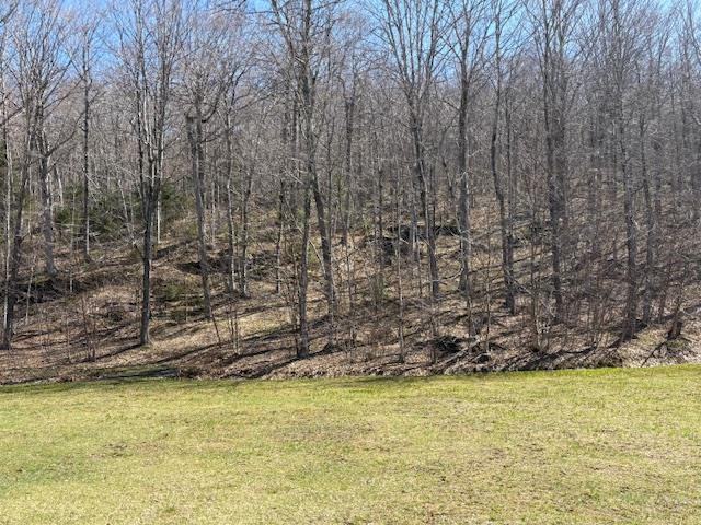 MLS #5039522 image #6