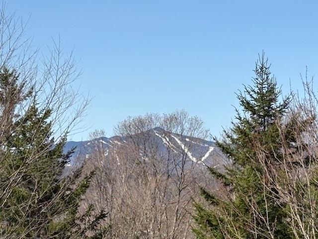 MLS #5039522 image #7