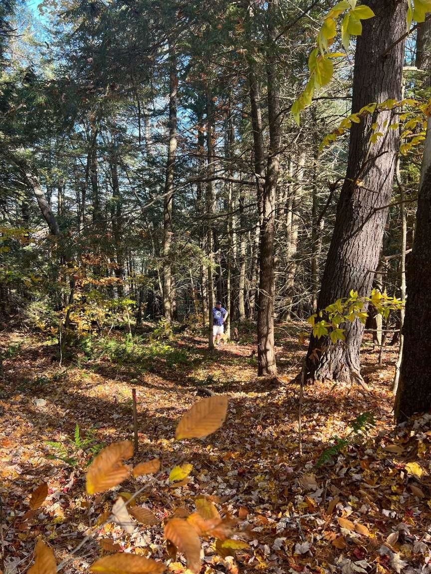 Wilmot NH Land for sale $$70,000 | 2.4 Acres  | Price Per Acre $0  | Total Lots 3