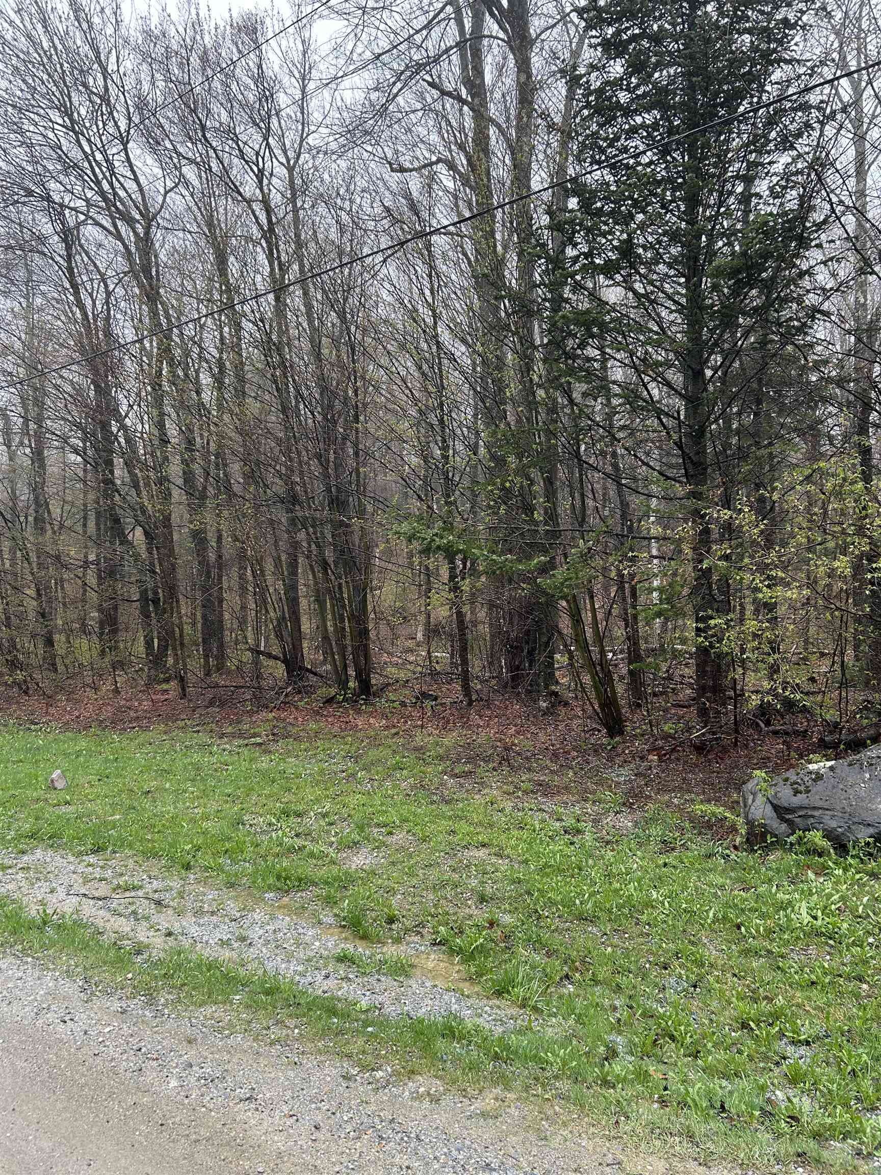 Homes for sale in Andover, VT | 00 North Hill Rd, Andover, VT 05143 | MLS# 5039995