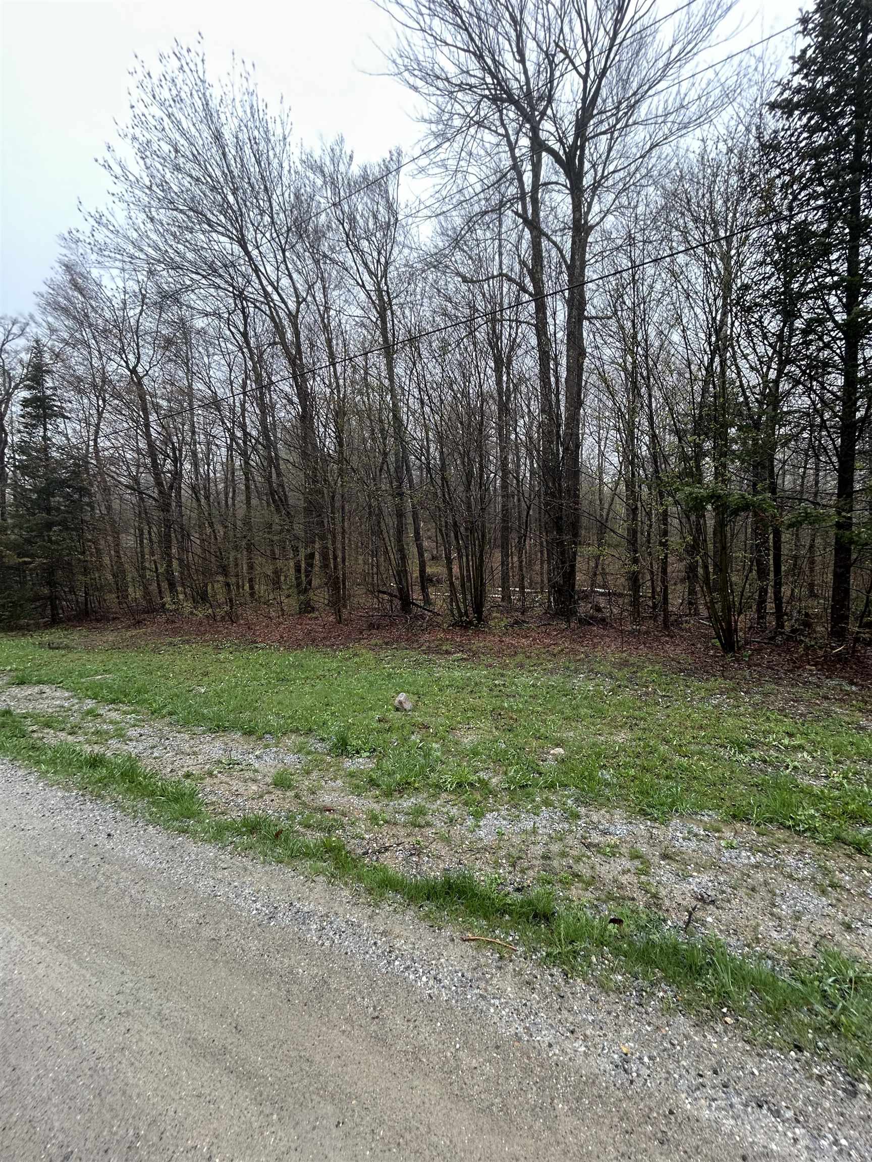 Homes for sale in Andover, VT | 00 North Hill Rd, Andover, VT 05143 | MLS# 5039995