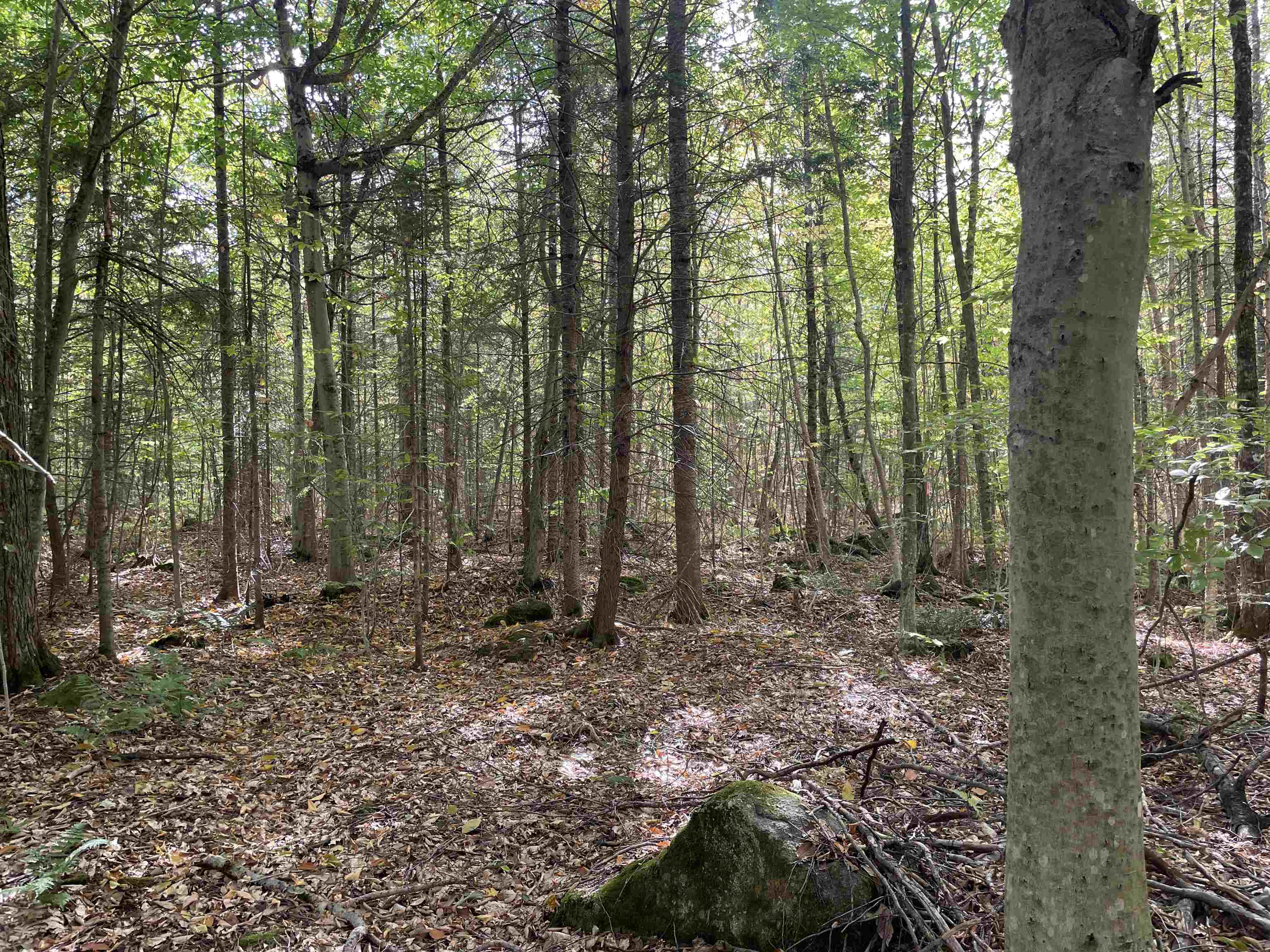 Homes for sale in Woodbury, VT | 2319 East Hill Rd, Woodbury, VT 05681 | MLS# 5040139