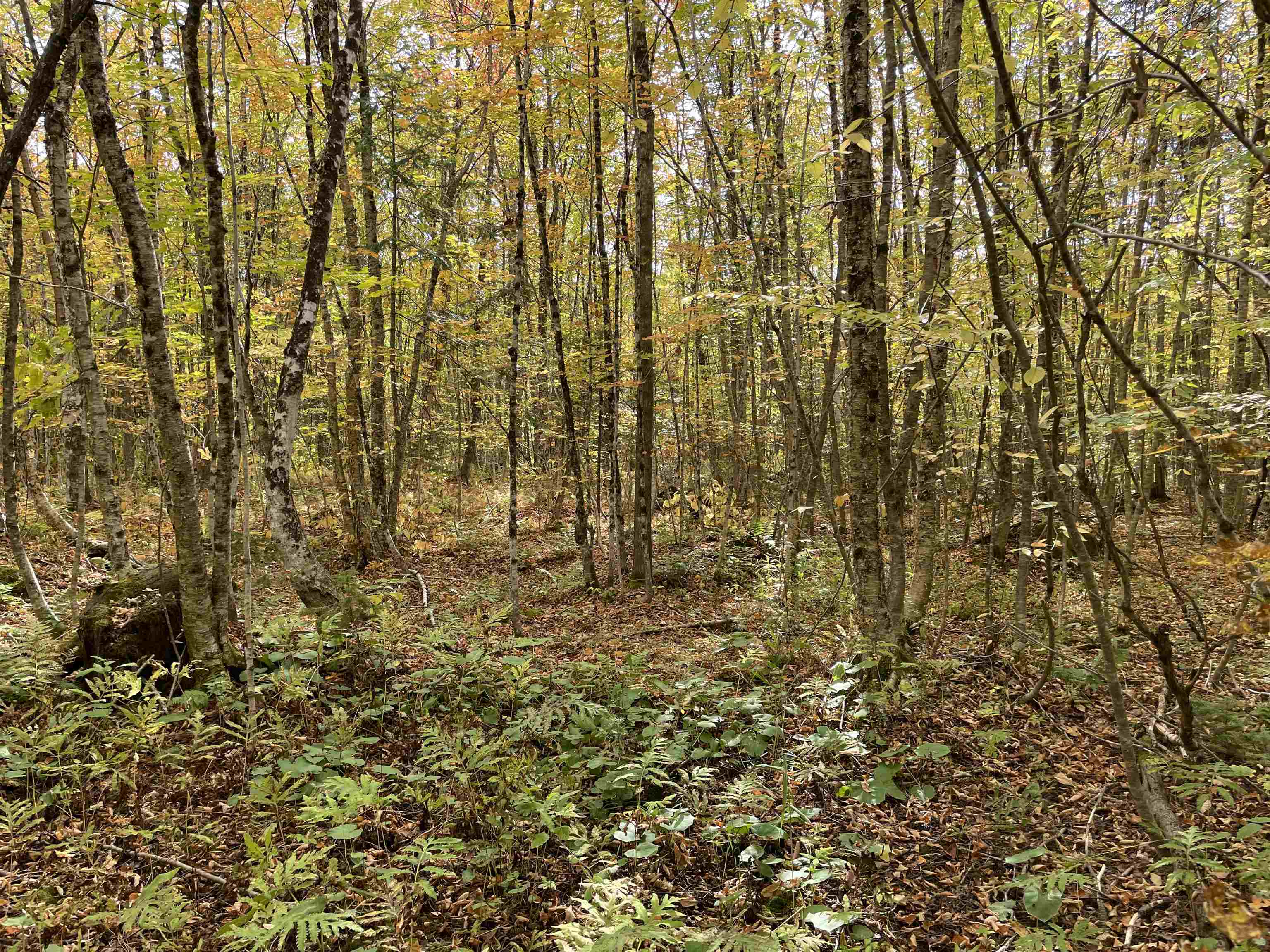 Homes for sale in Woodbury, VT | 2319 East Hill Rd, Woodbury, VT 05681 | MLS# 5040139