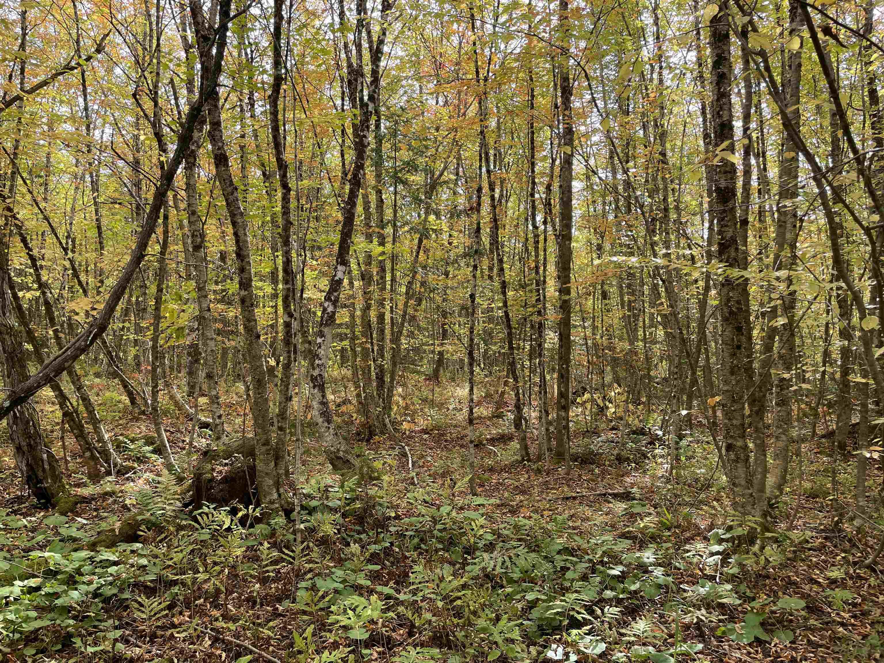 Homes for sale in Woodbury, VT | 2319 East Hill Rd, Woodbury, VT 05681 | MLS# 5040139