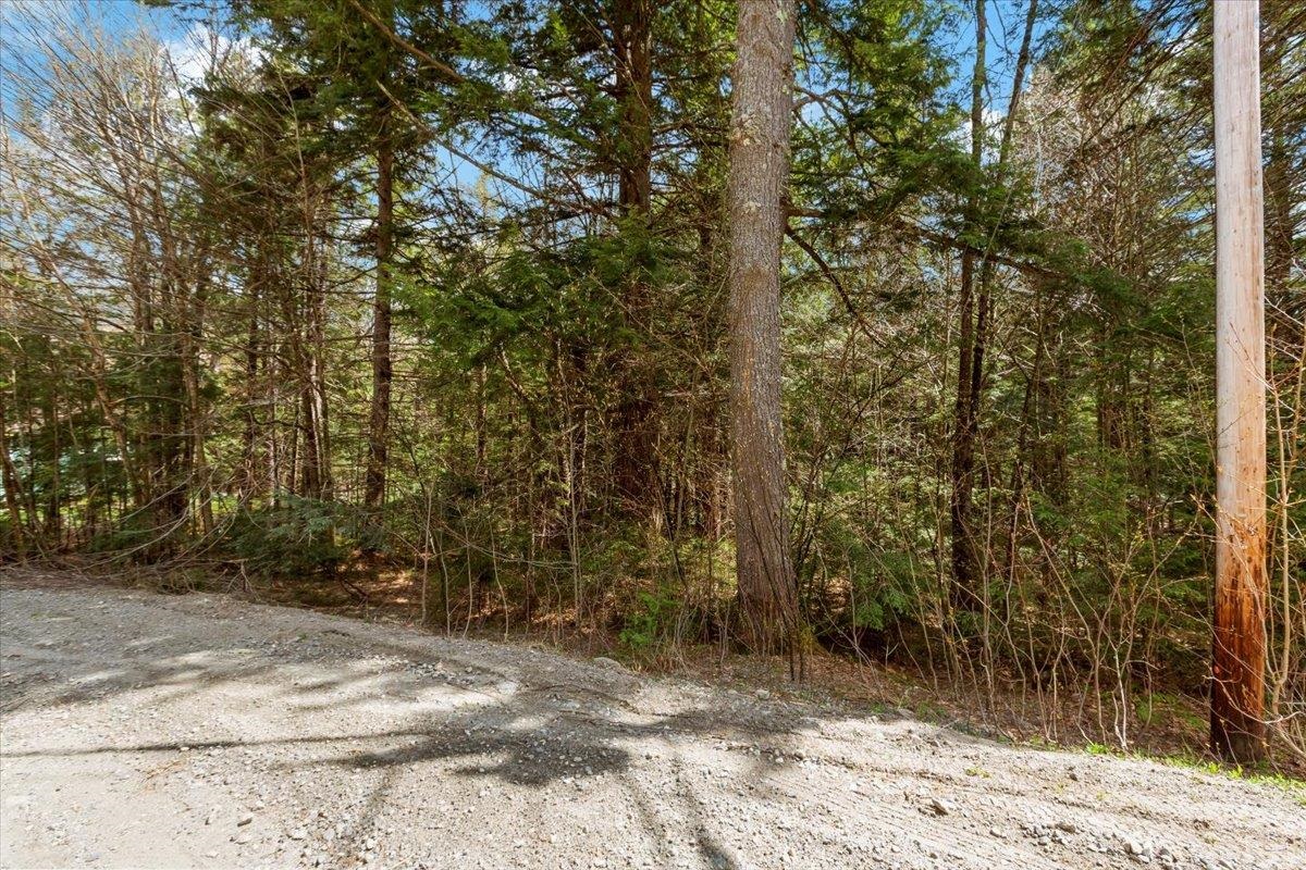 Homes for sale in Wardsboro, VT | L40 Boardman Loop, Wardsboro, VT 05355 | MLS# 5040144