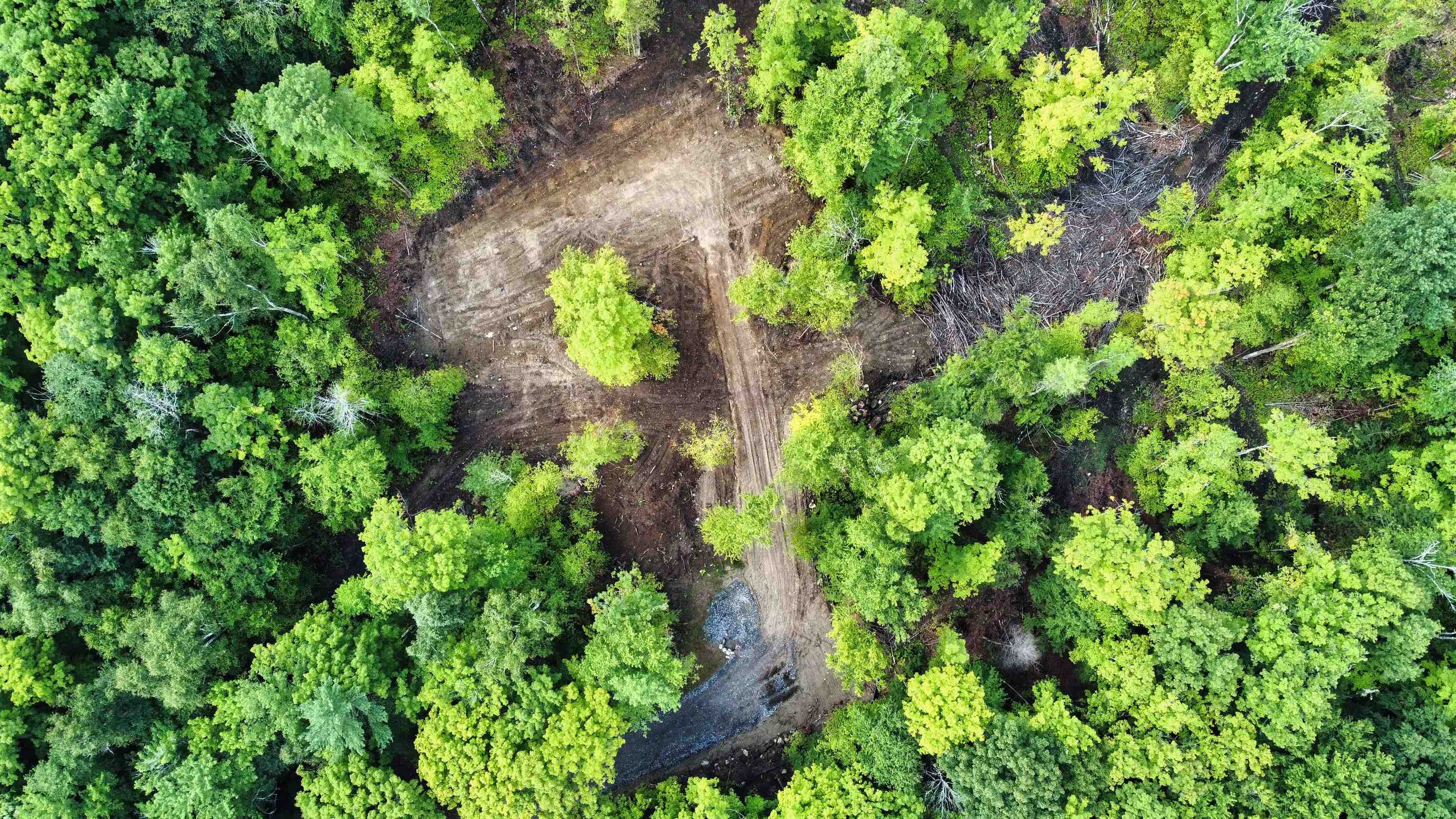 Homes for sale in Andover, NH | Lot 02 Franklin Hwy, Andover, NH 03216 | MLS# 5040149