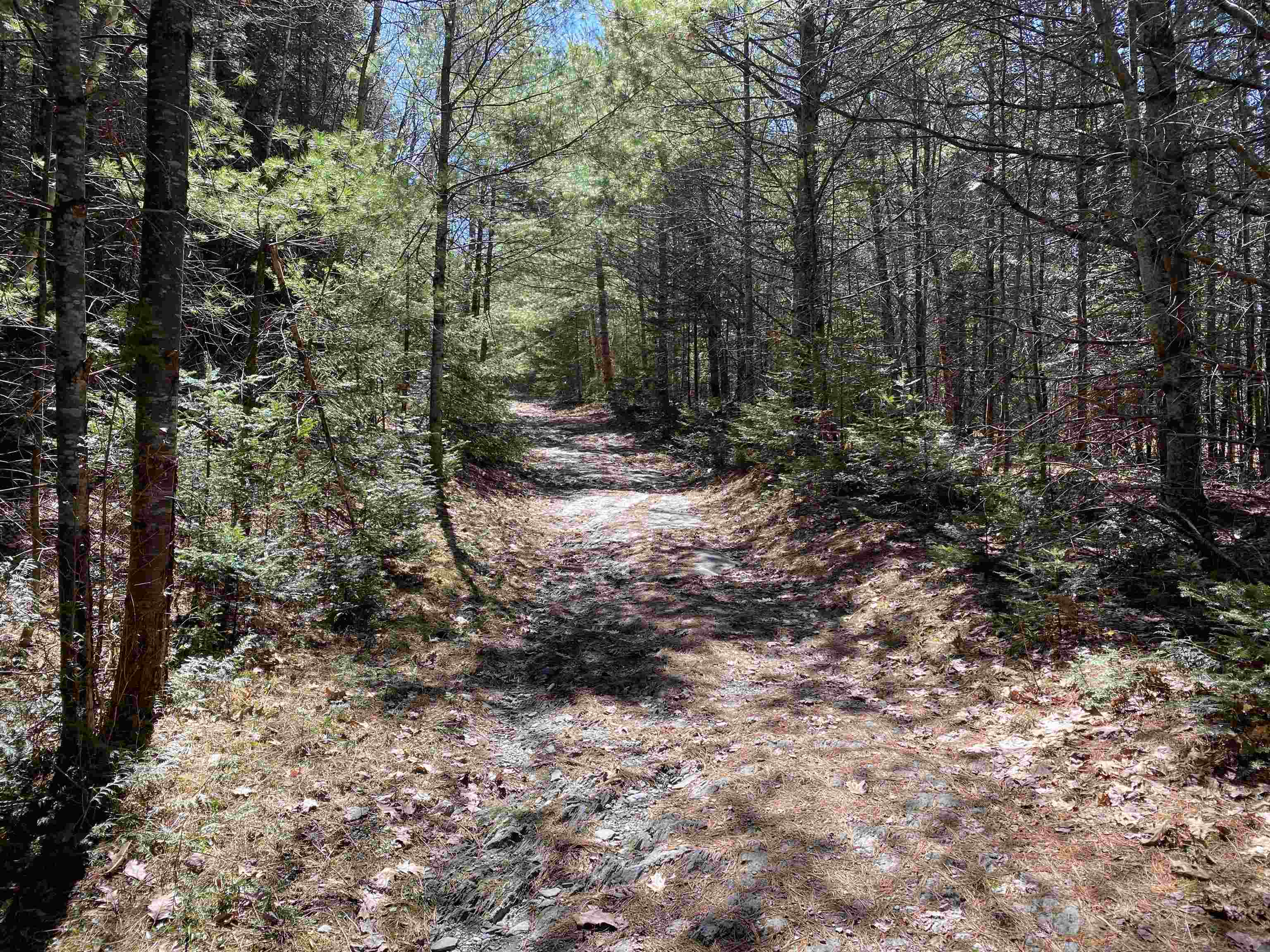 Homes for sale in Newbury, VT | Mace Rd, Newbury, VT 05033 | MLS# 5040247