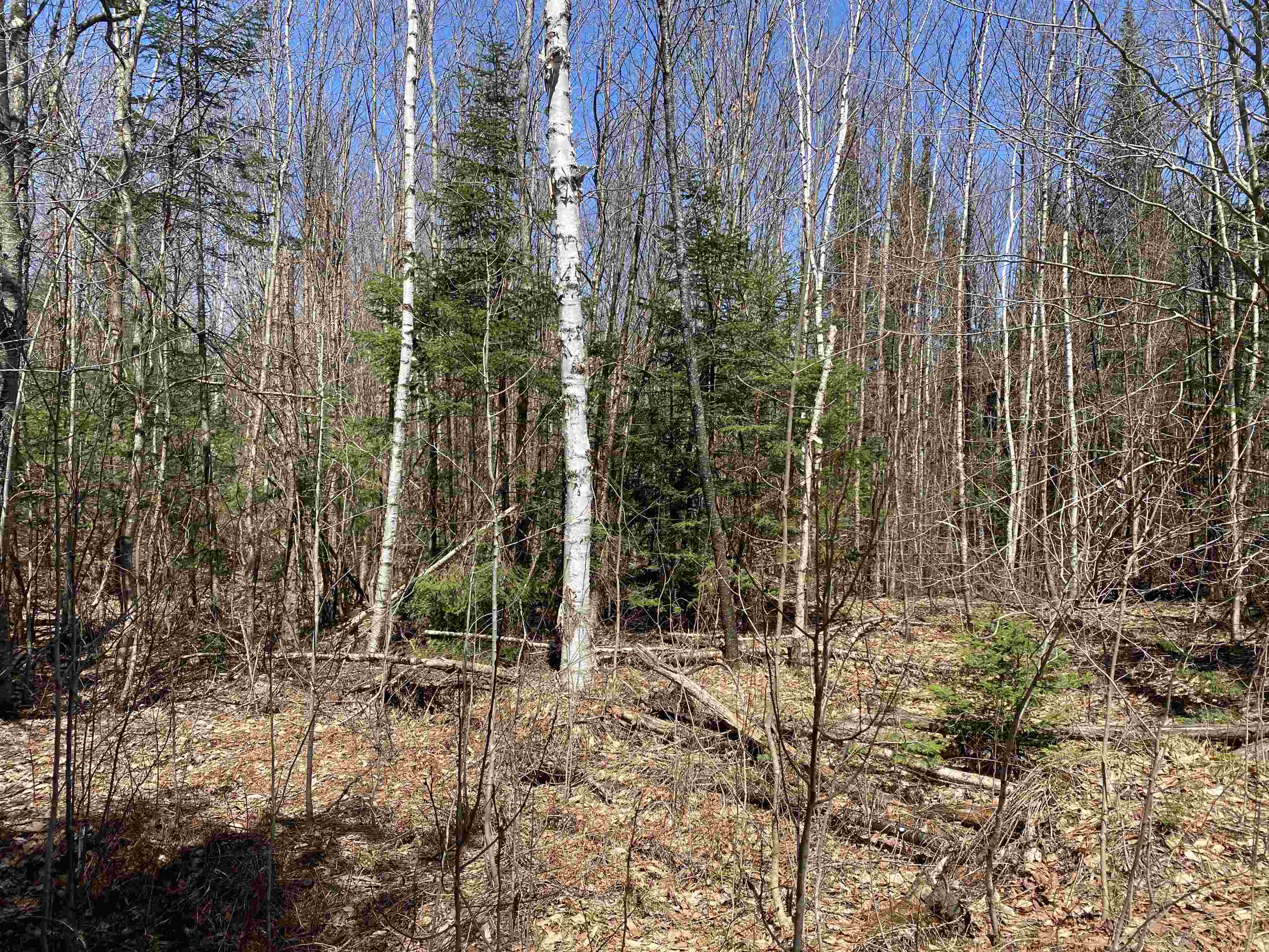 Homes for sale in Newbury, VT | Mace Rd, Newbury, VT 05033 | MLS# 5040247