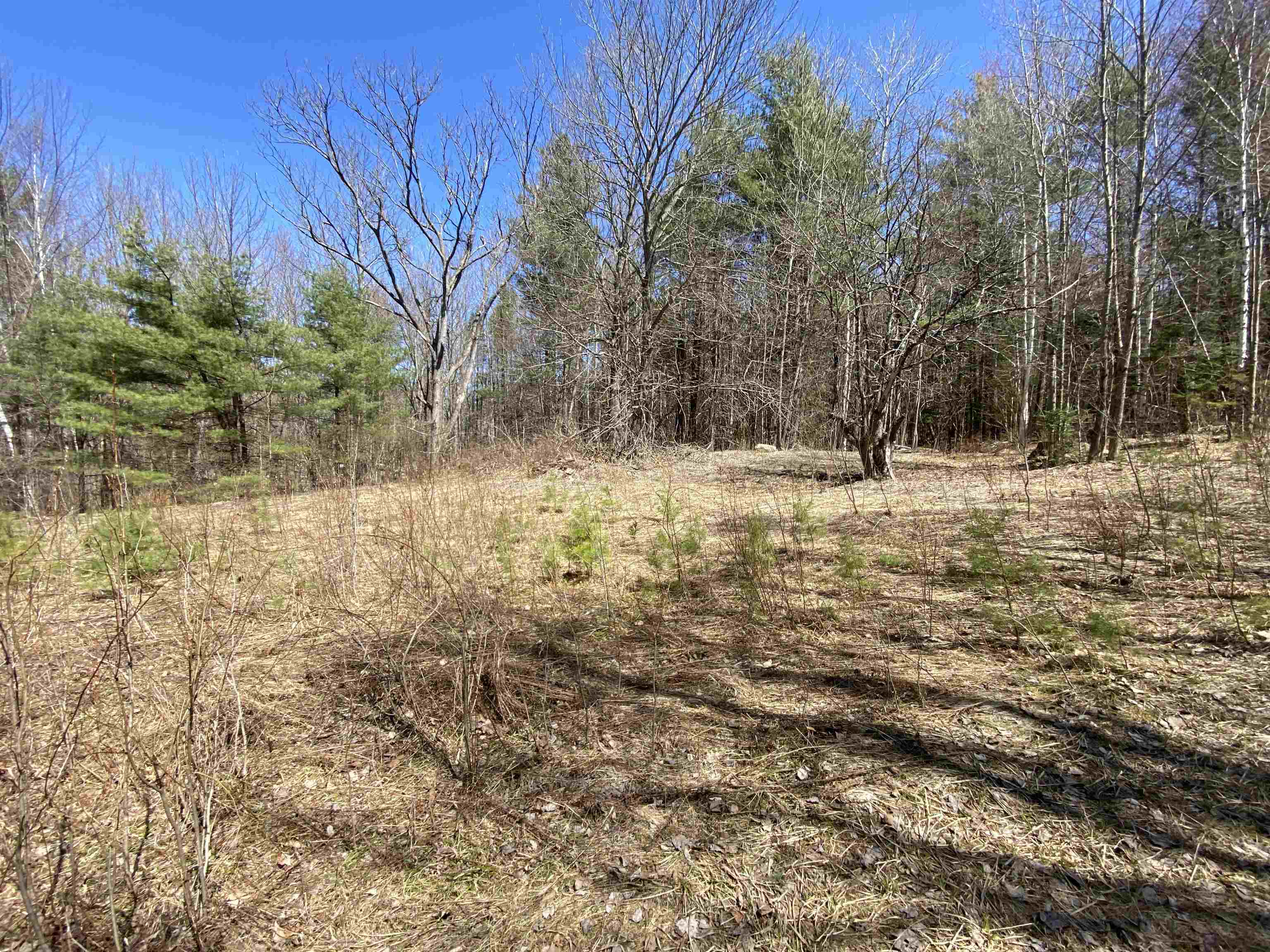 Homes for sale in Newbury, VT | Mace Rd, Newbury, VT 05033 | MLS# 5040247