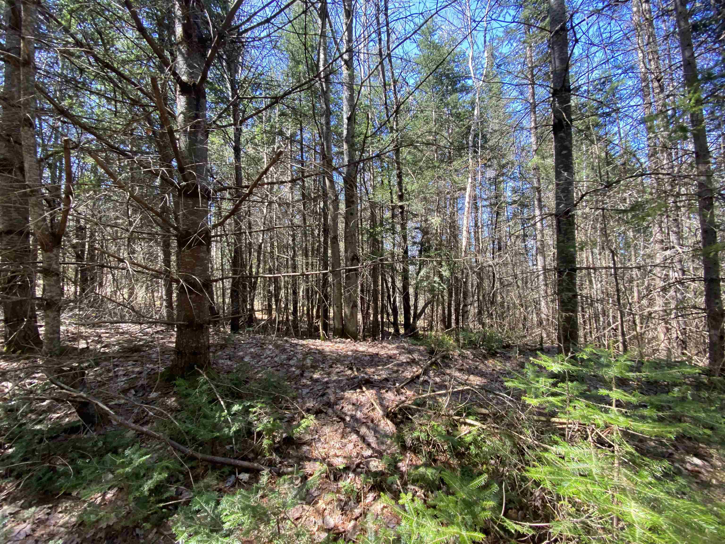 Homes for sale in Newbury, VT | Mace Rd, Newbury, VT 05033 | MLS# 5040247